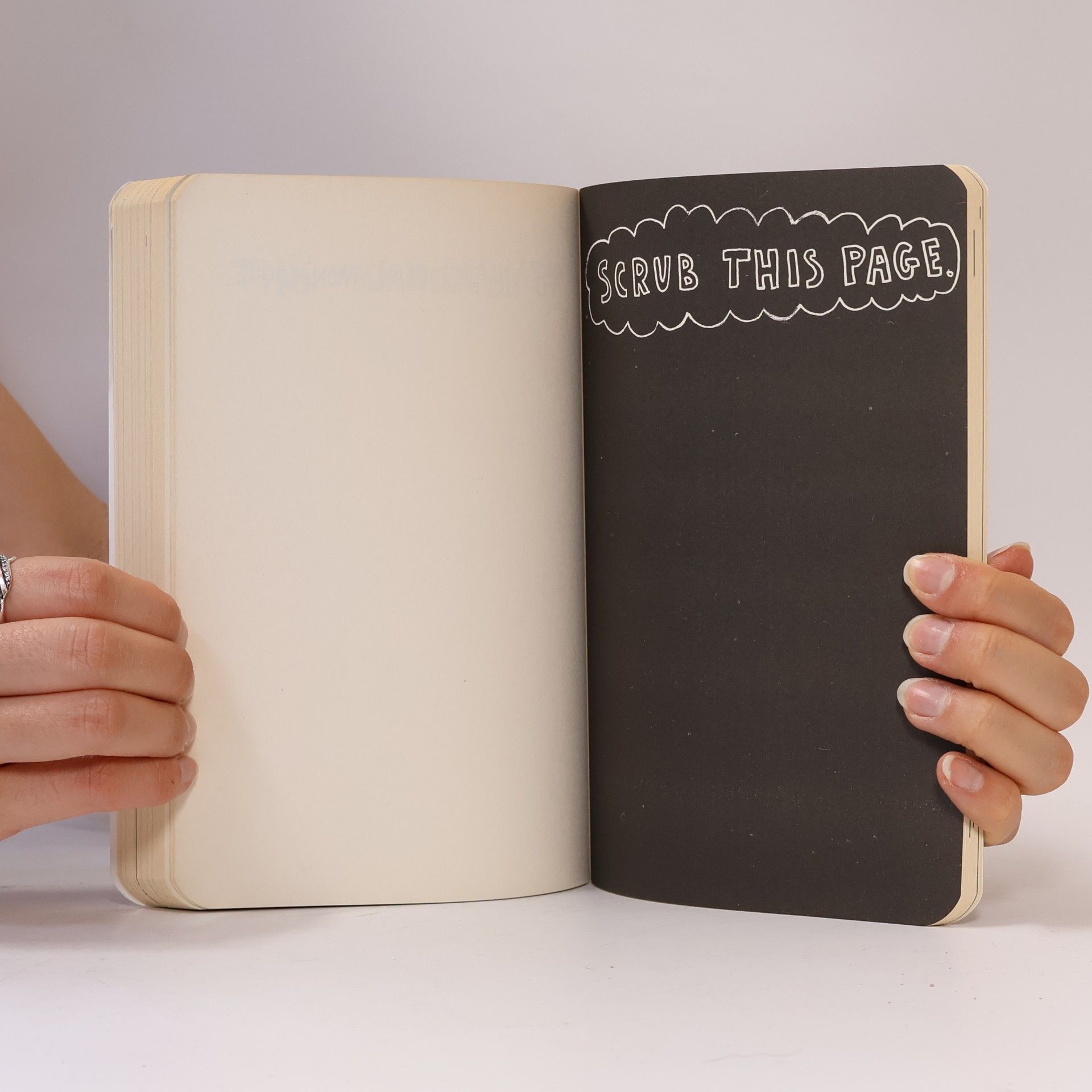 Keri Smith Wreck This Journal