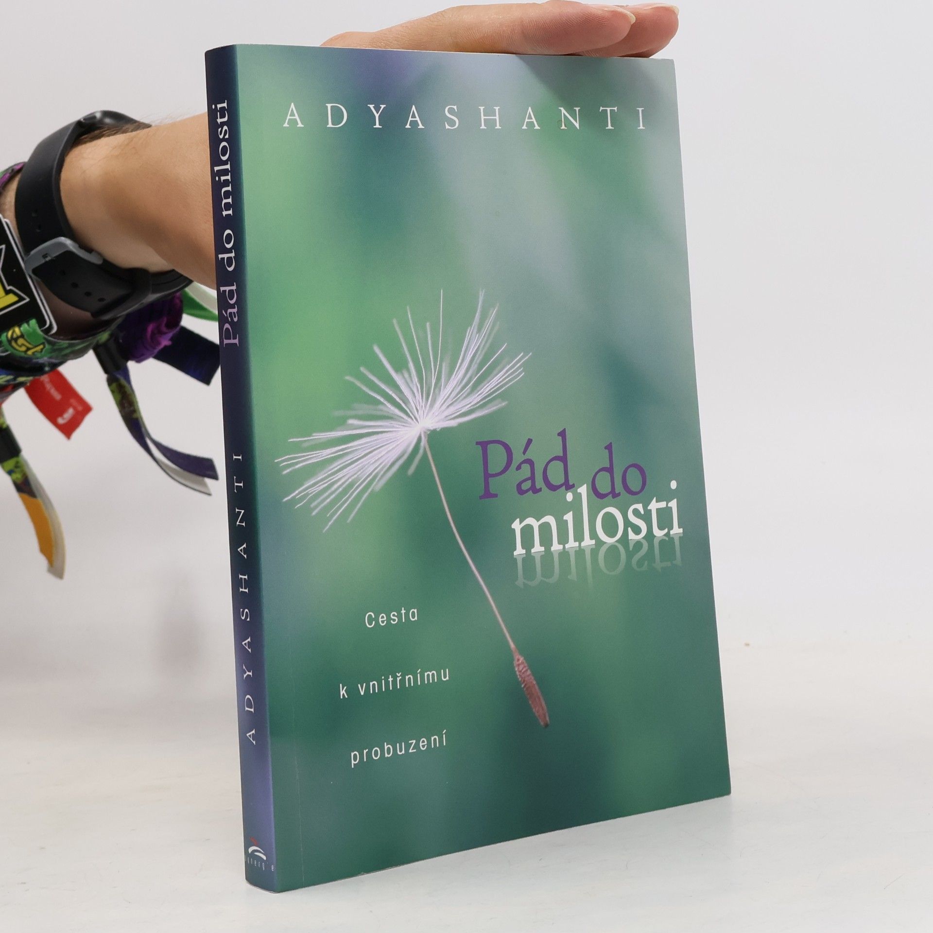 Adyashanti Pád do milosti