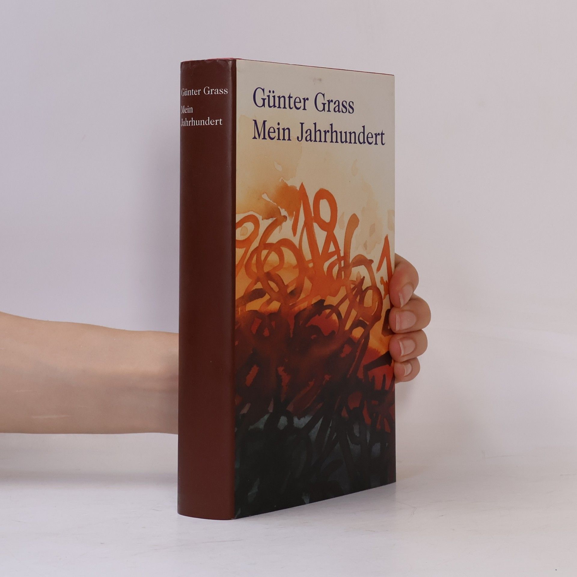Günter Grass Mein Jahrhundertbuch