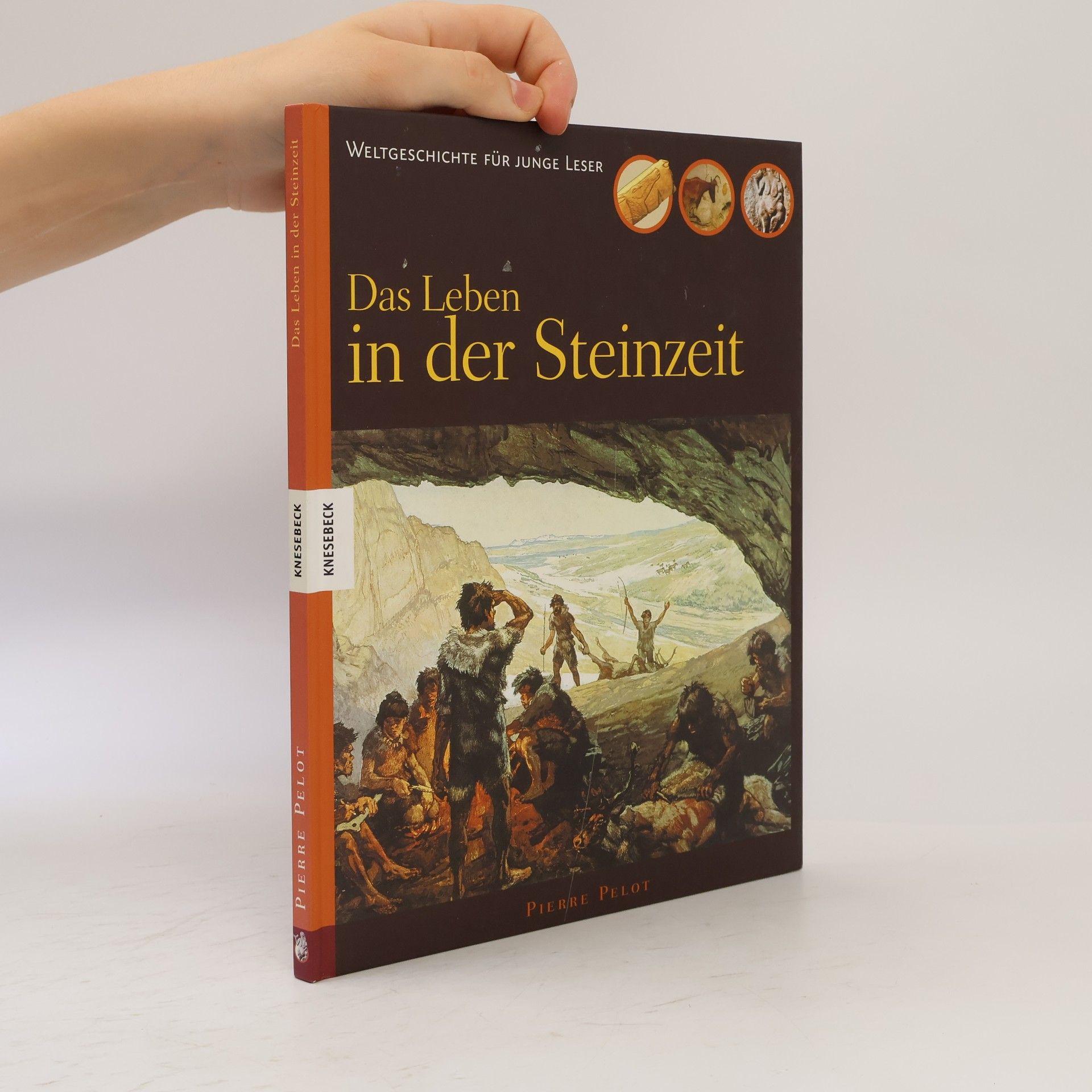 Pierre Pelot Das Leben in der Steinzeit