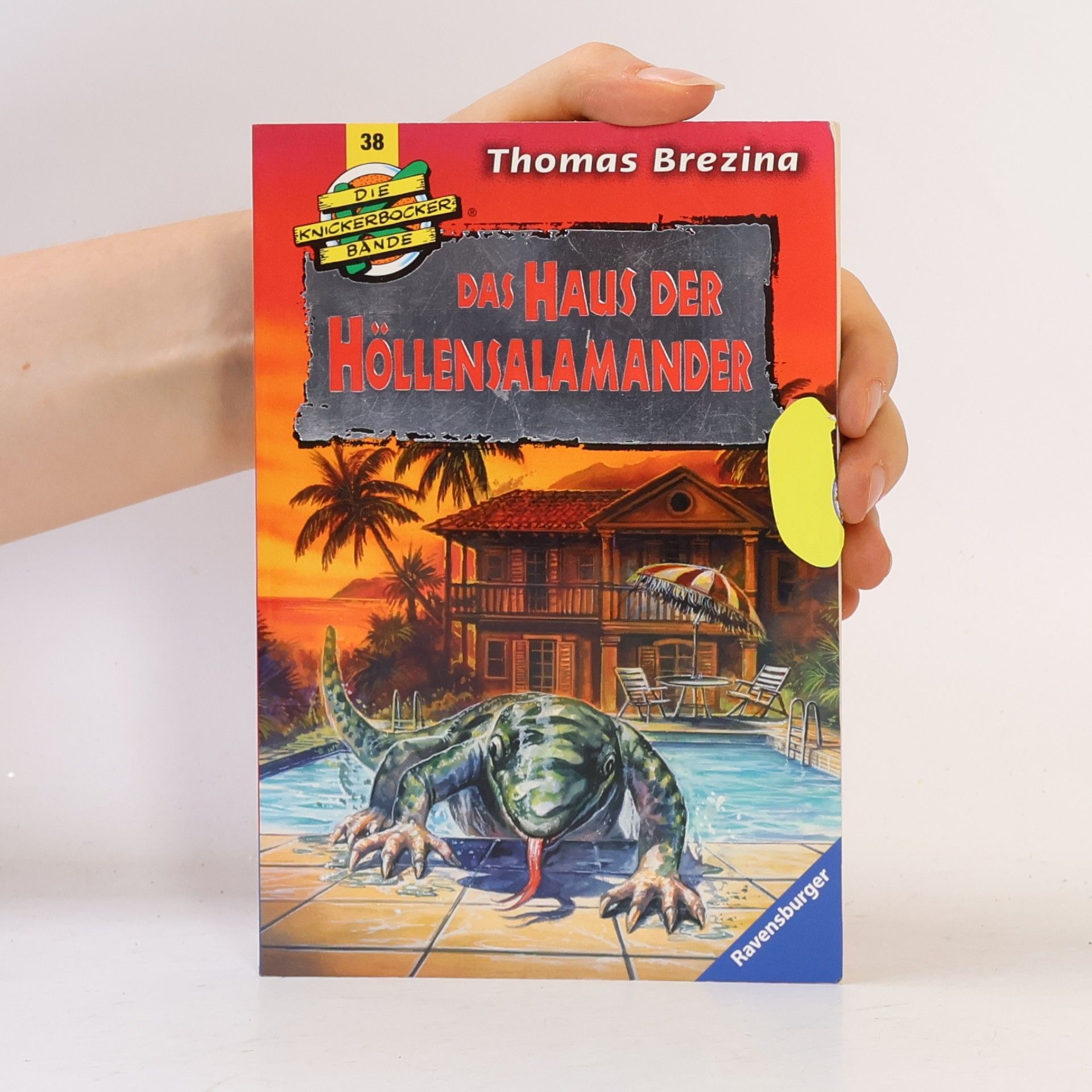 Thomas Brezina Knickerbockerbande - 38: Das Haus der Höllensalamander