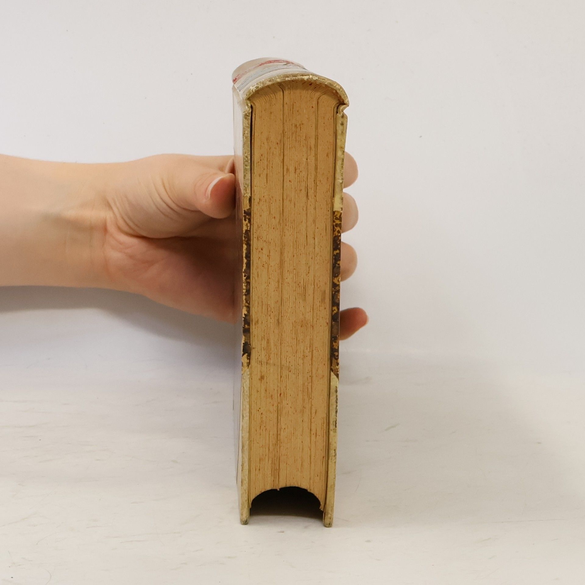 Divi Thomae Aquinatis Summa Theologica. Tertiae Partis Supplementum