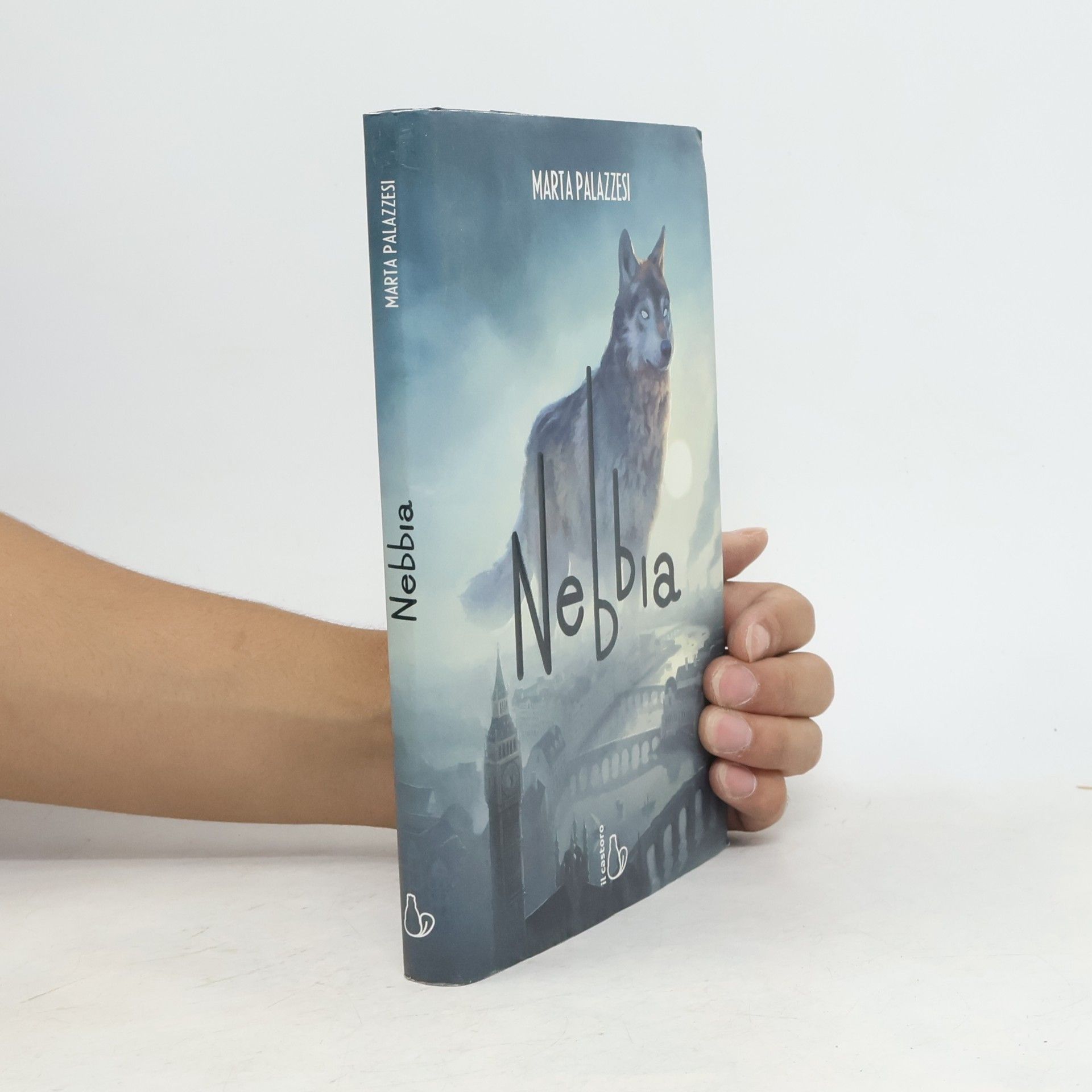 Marta Palazzesi Nebbia