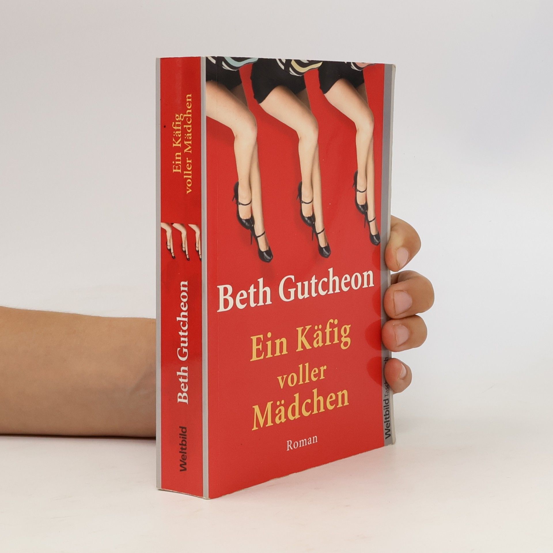 Beth Gutcheon Ein Käfig voller Mädchen