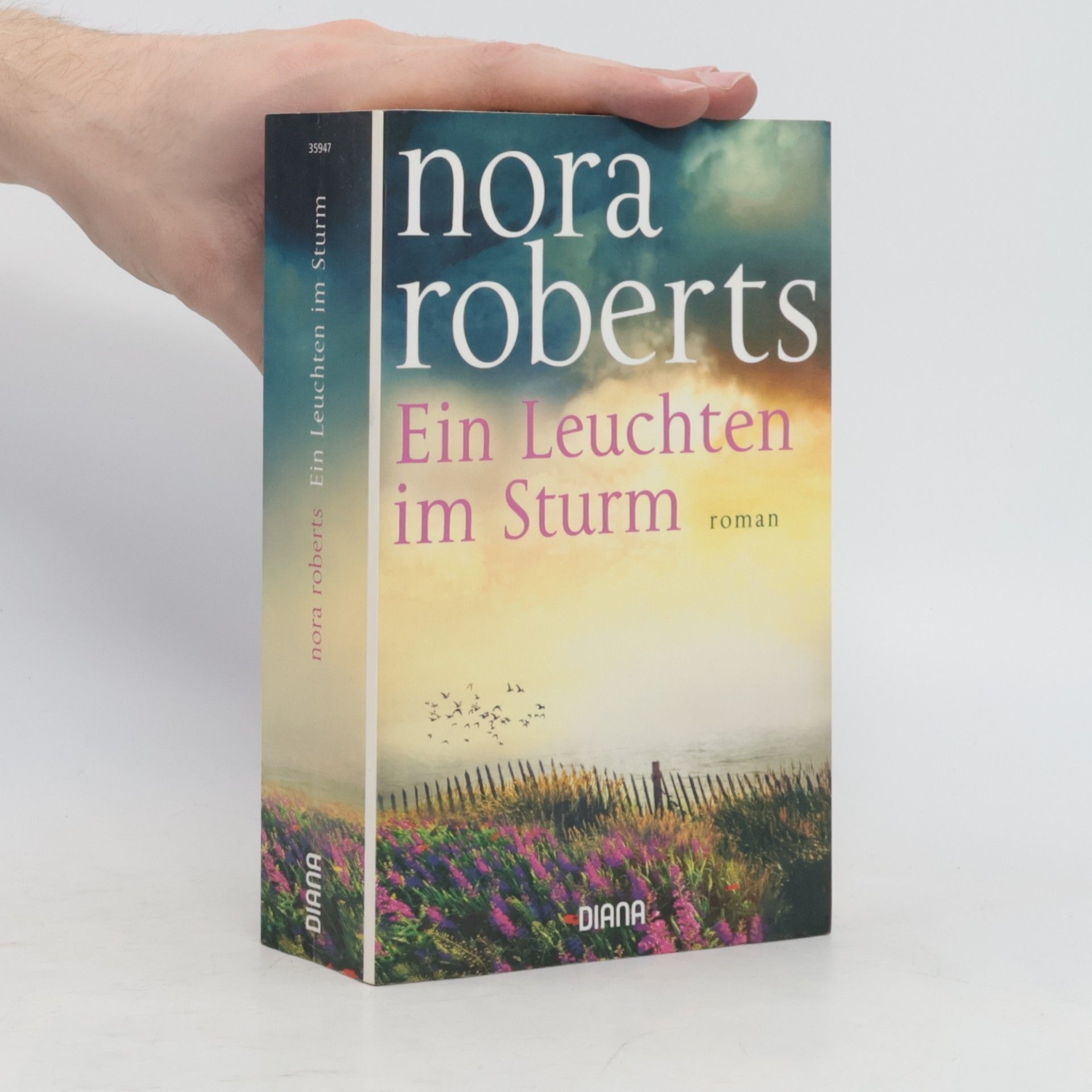 Ein Leuchten im Sturm