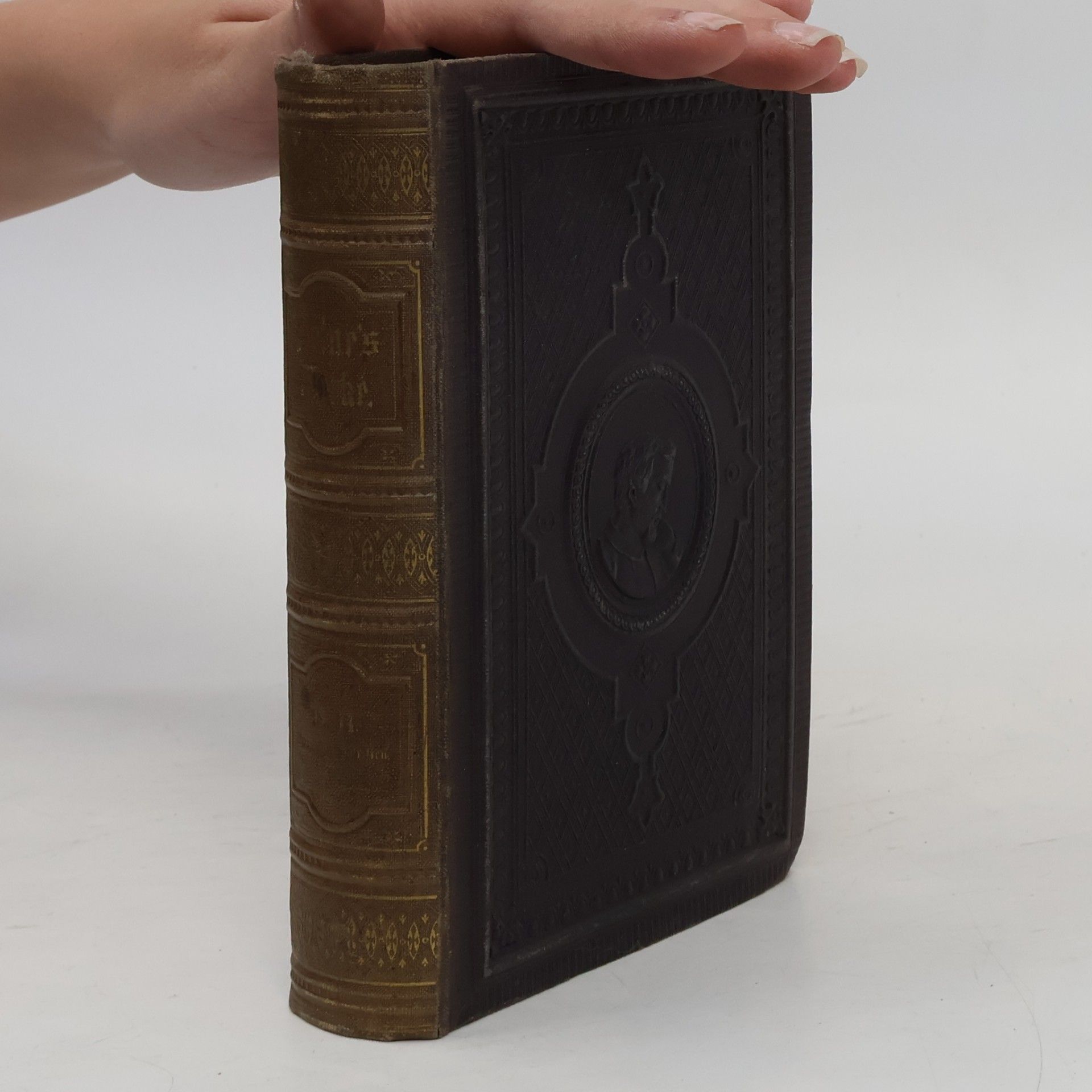Heinrich Heine Sämmtliche Werke XIII. Vermischte Schriften 1