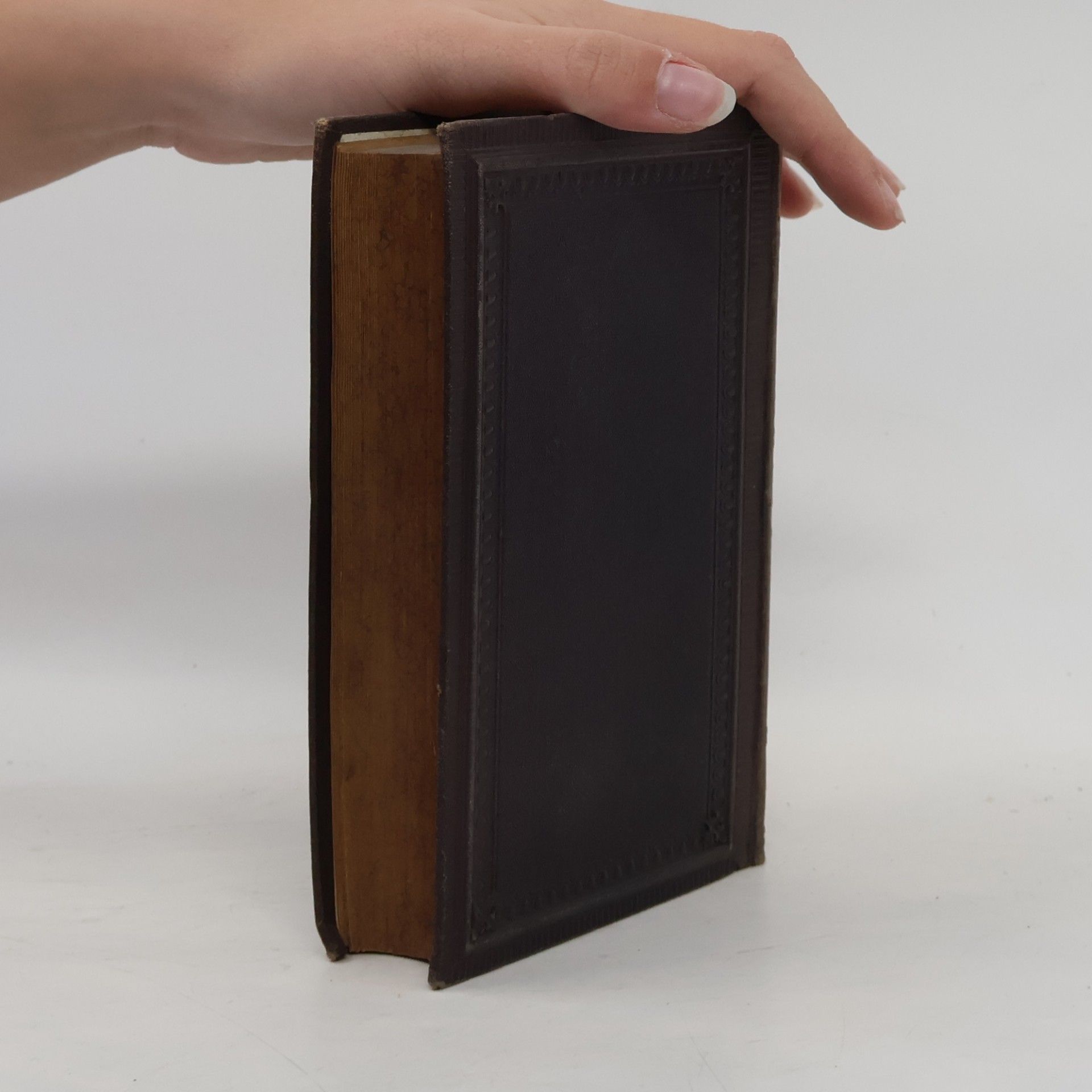 Heinrich Heine Sämmtliche Werke XIII. Vermischte Schriften 1