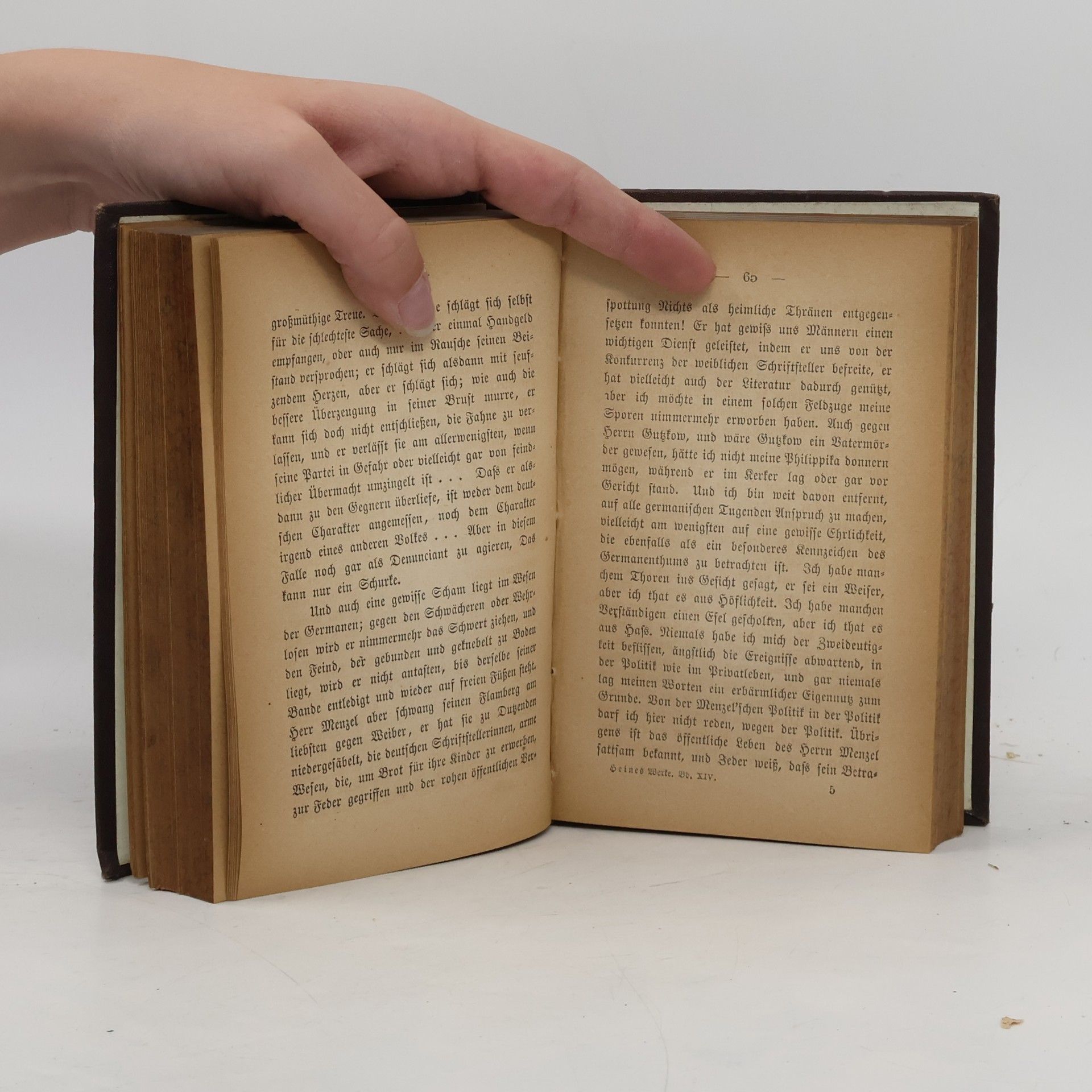 Heinrich Heine Sämmtliche Werke XIII. Vermischte Schriften 1