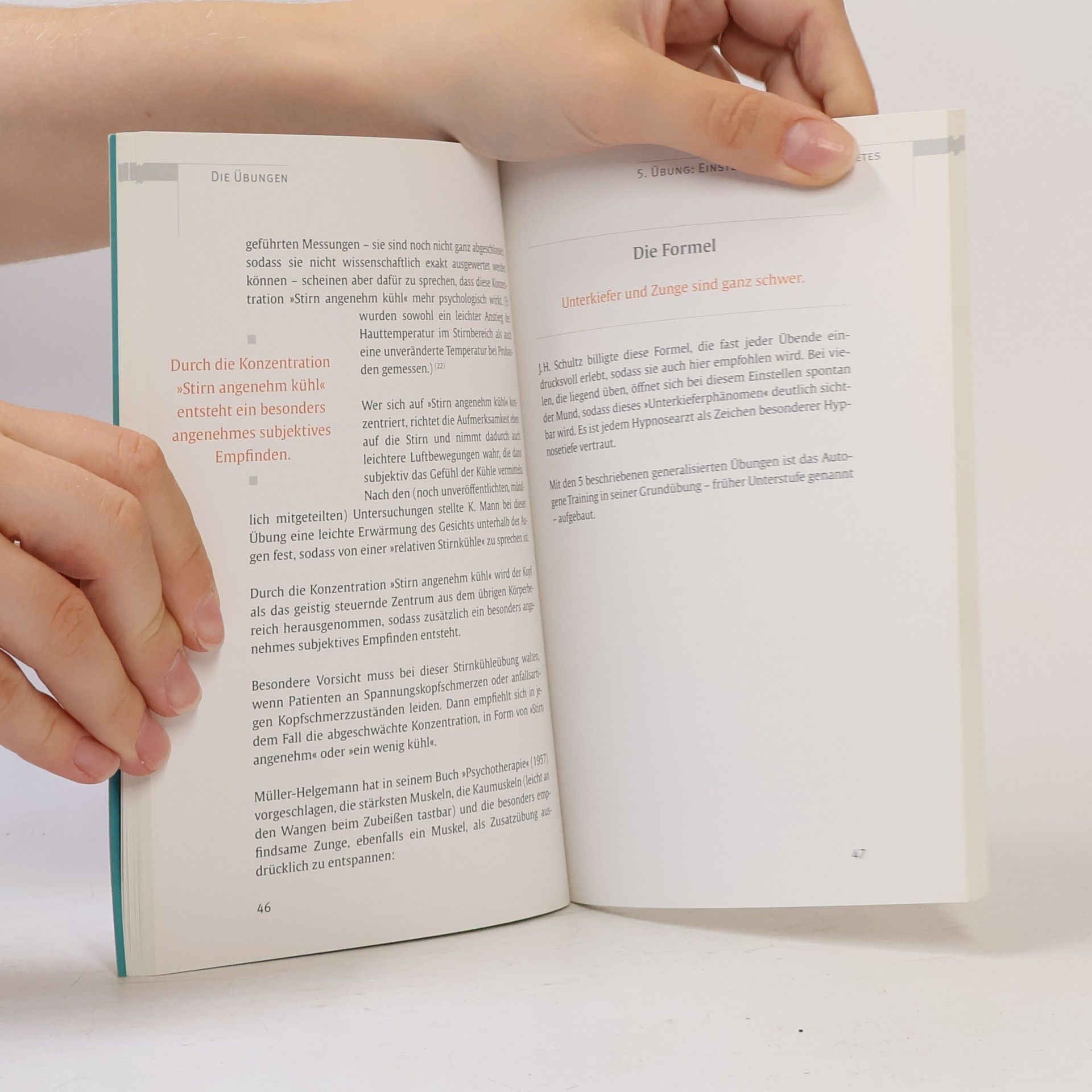 Johannes Heinrich Schultz Autogenes Training Das Original-Übungsbuch
