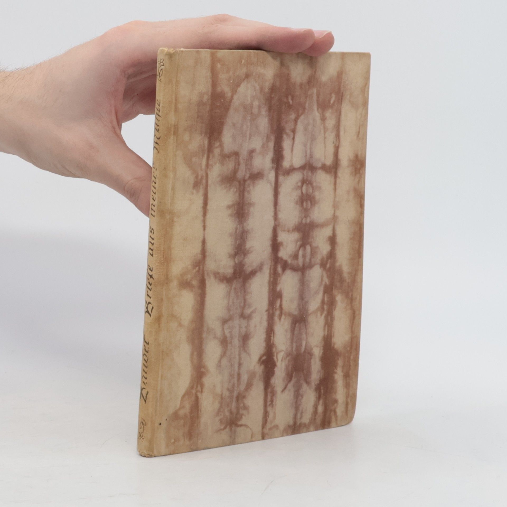 Alphonse Daudet Briefe aus meiner Mühle