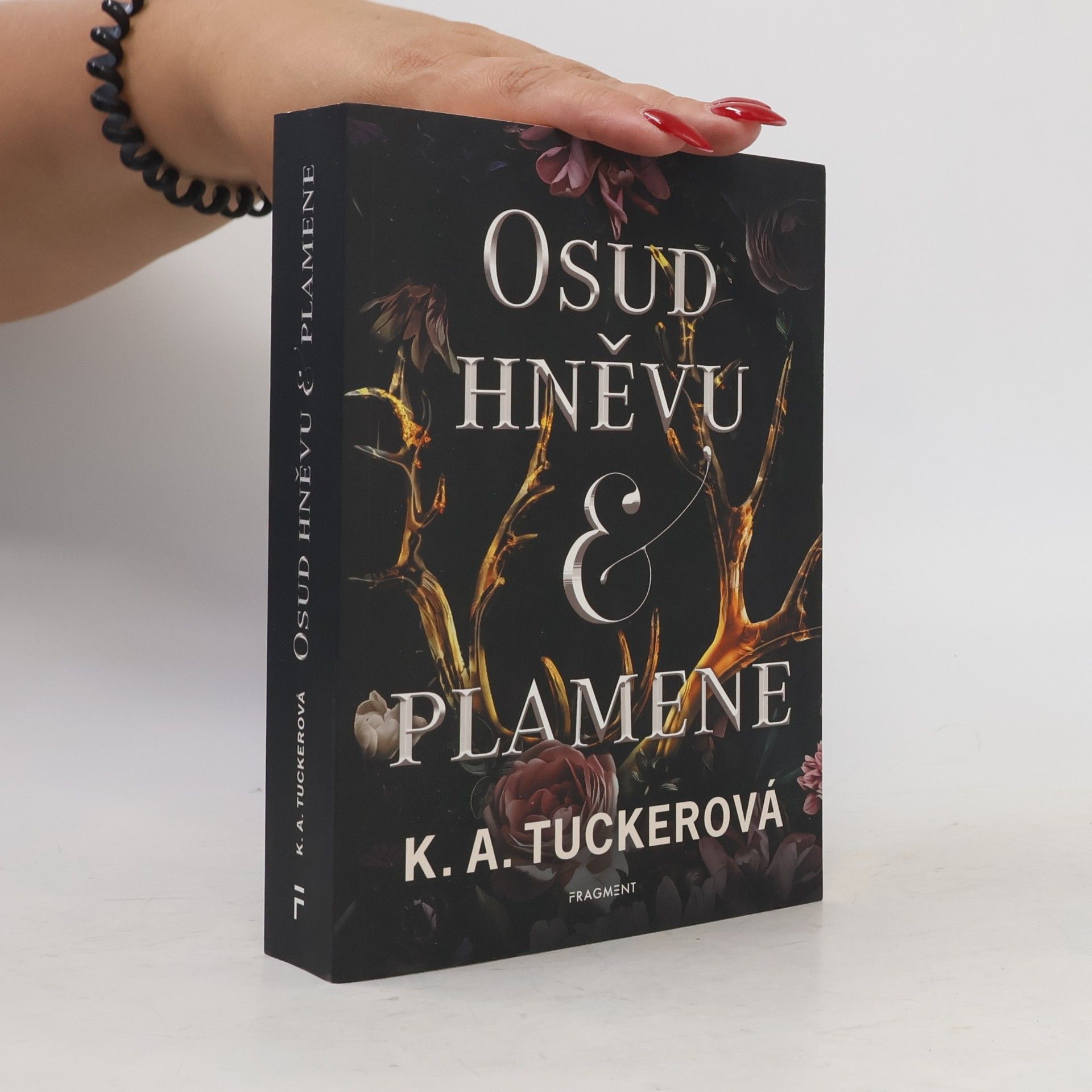 K.A. Tucker Osud hněvu & plamene