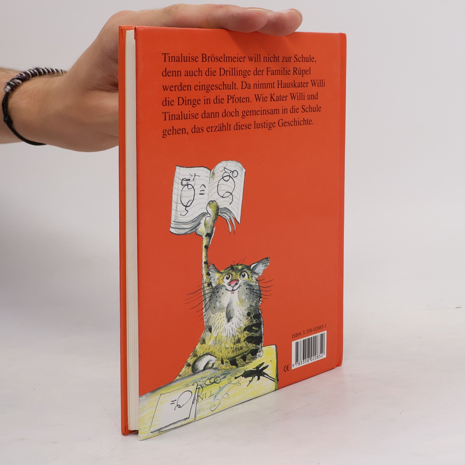 Hannes Hüttner Kater Willi