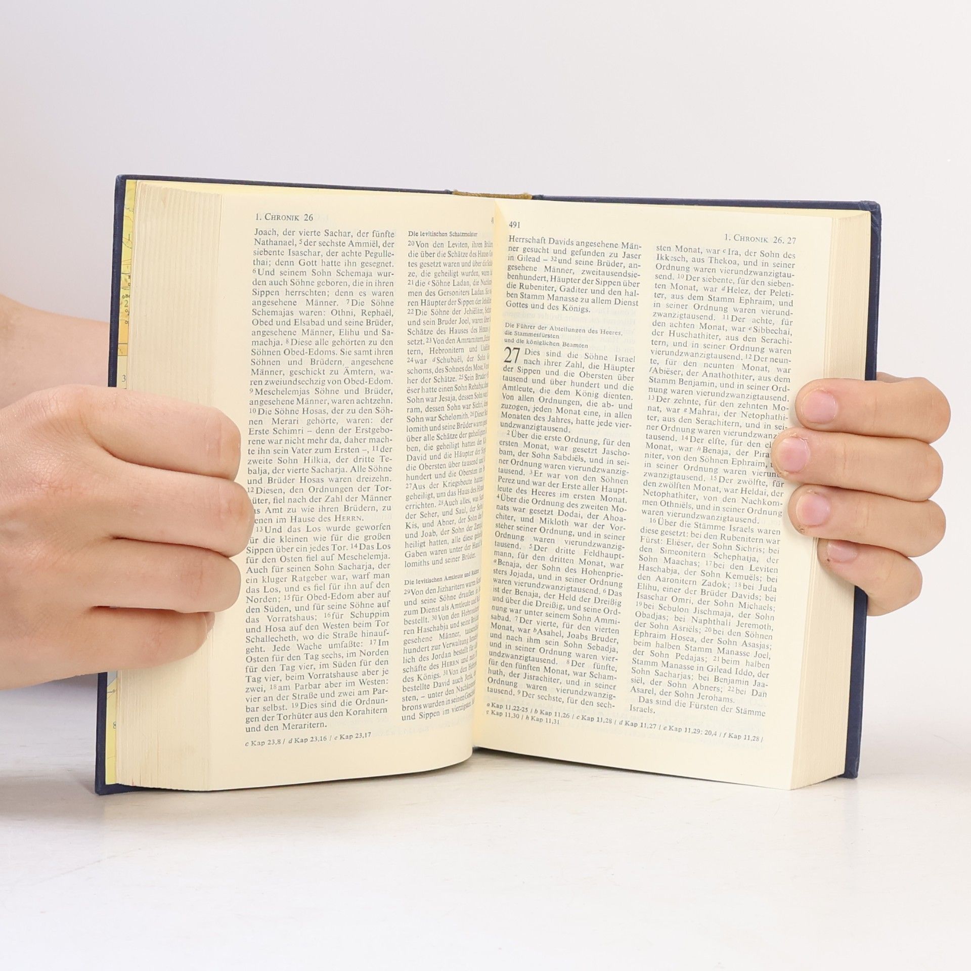 Martin Luther Die Bibel oder die ganze Heilige Schrift