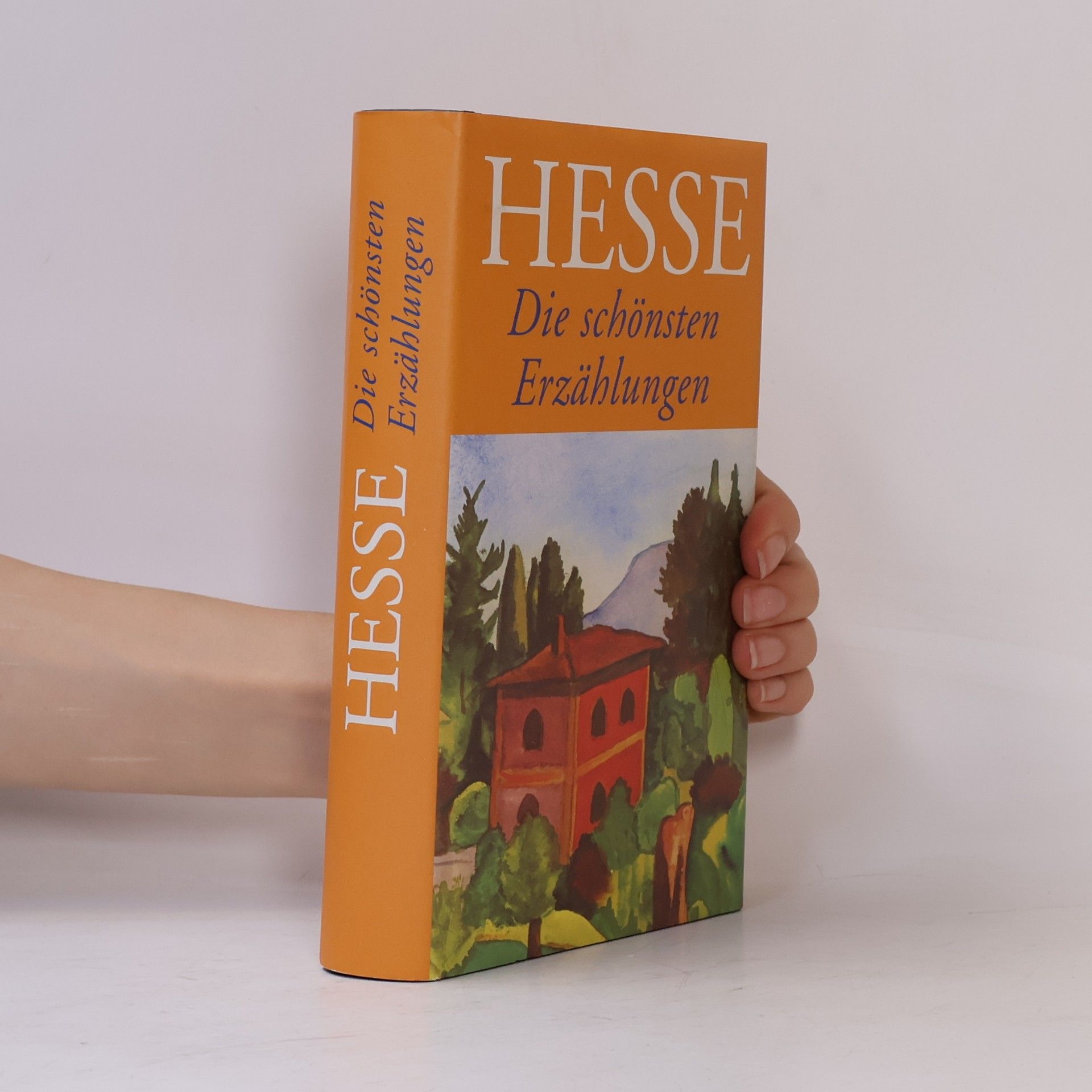 Hermann Hesse Die schönsten Erzählungen