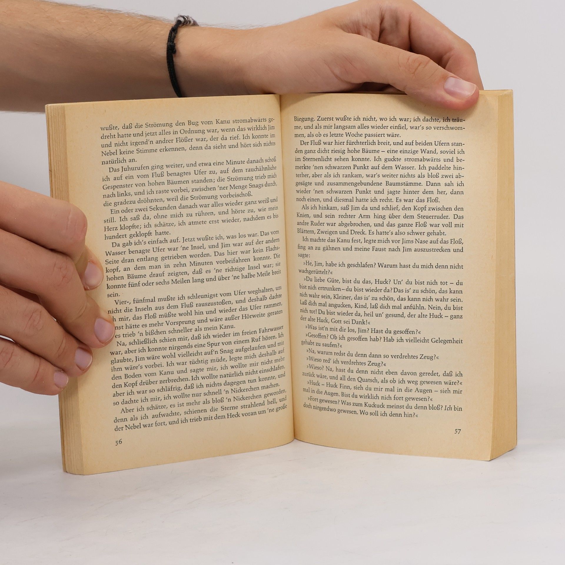 Mark Twain Die Abenteuer des Huckleberry Finn