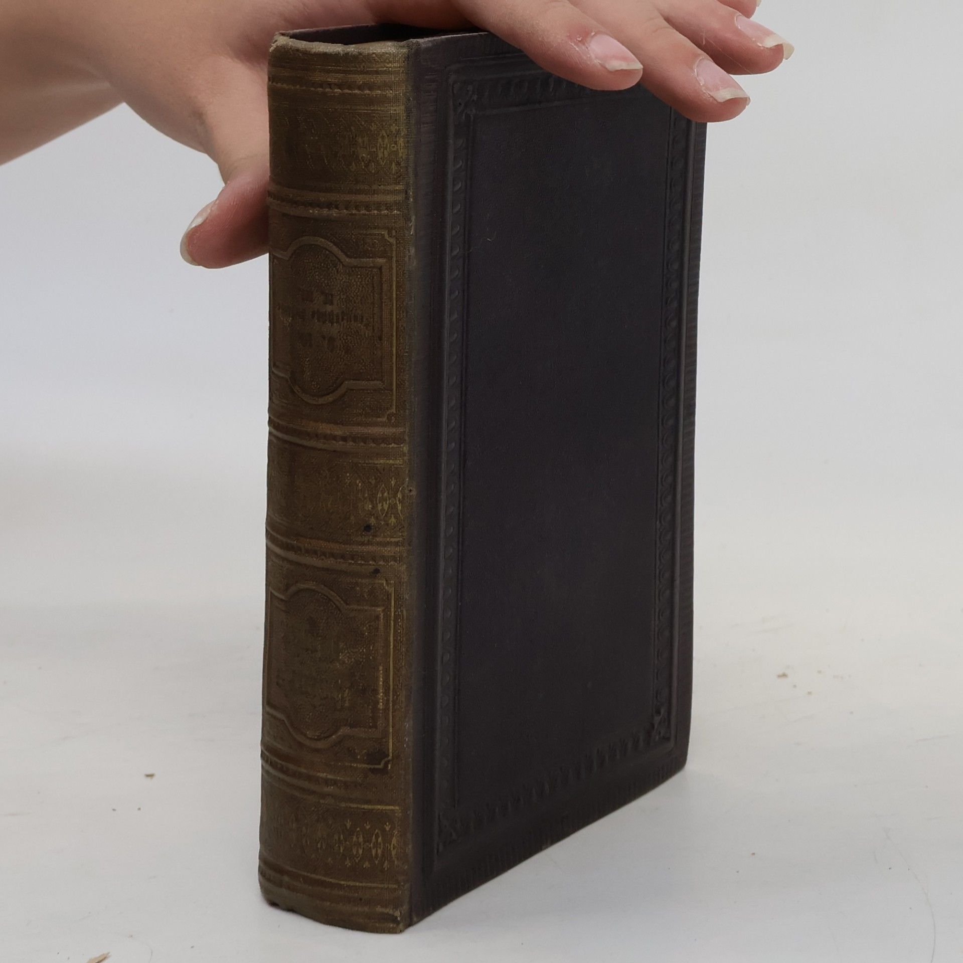 Heinrich Heine Sämmtliche Werke IX. Französische Zustände 2
