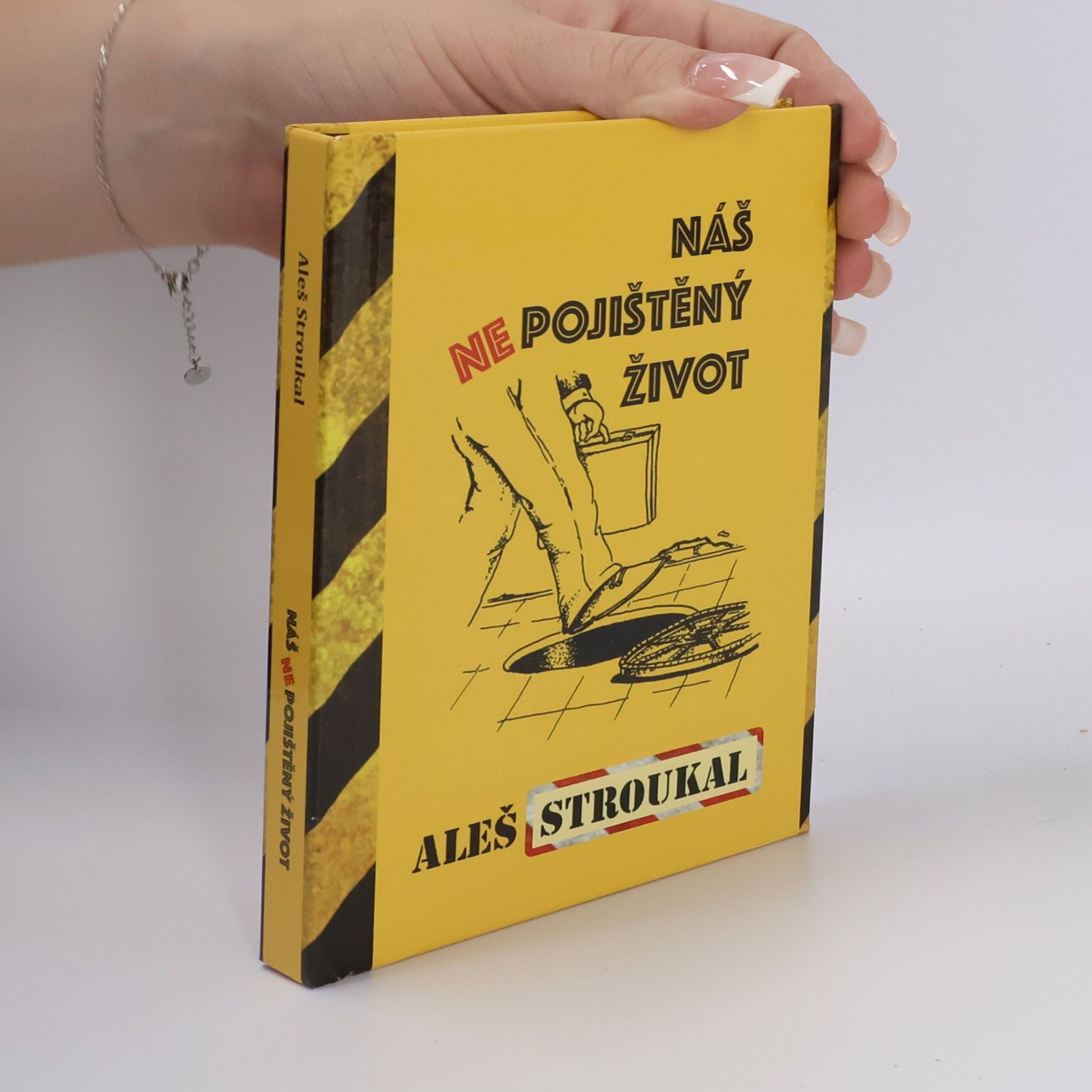 Aleš Stroukal Náš (ne)pojištěný život
