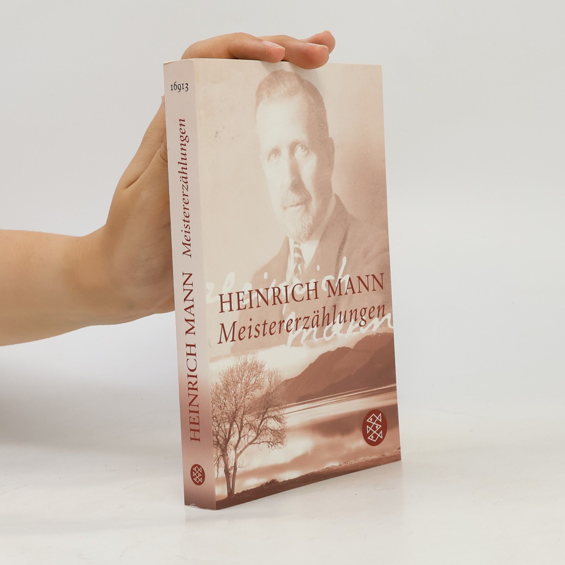 Heinrich Mann Meistererzählungen