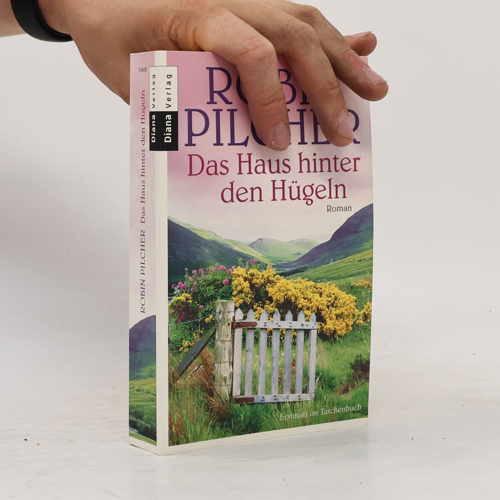 Das Haus hinter den Hügeln