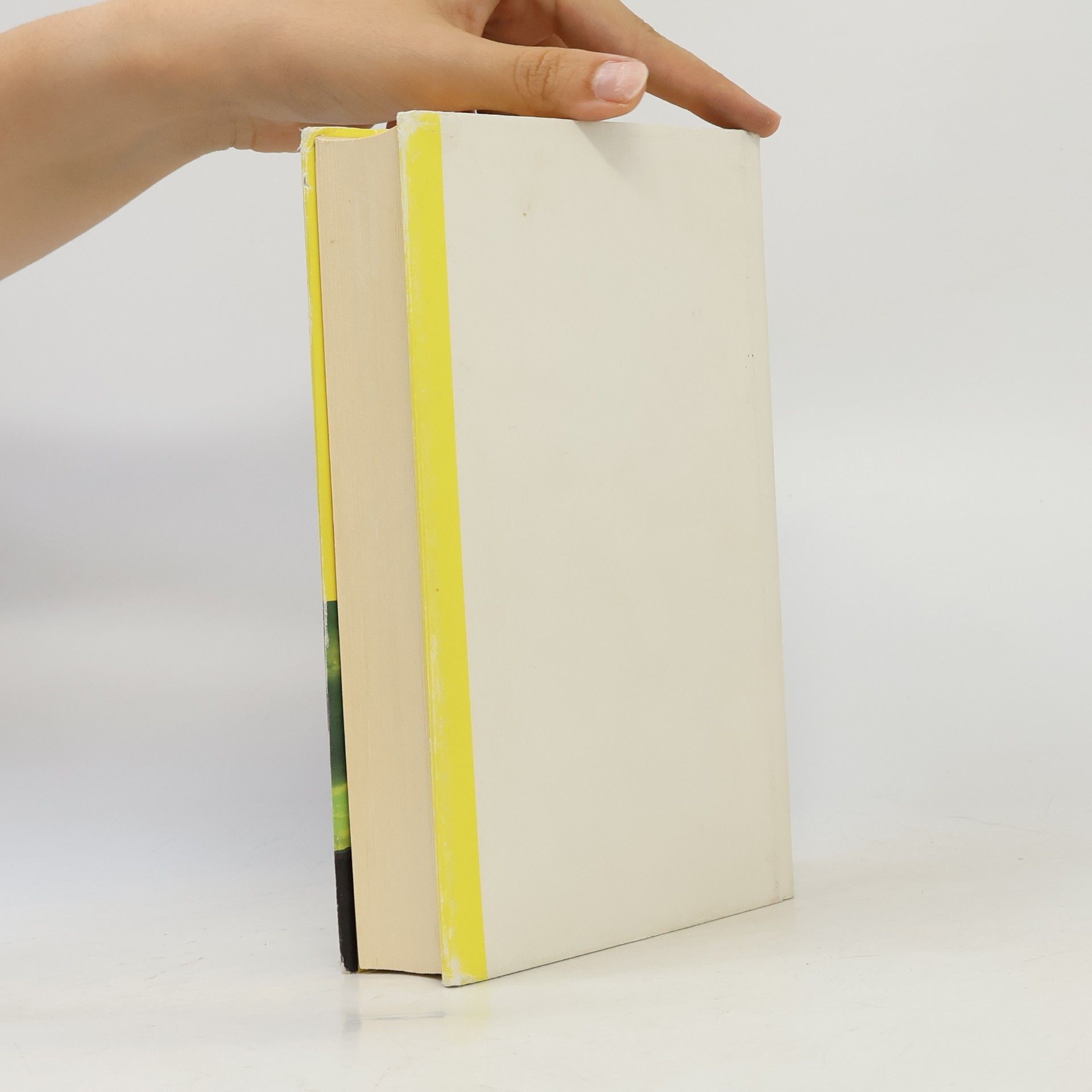 Isabel Allende Der unendliche Plan