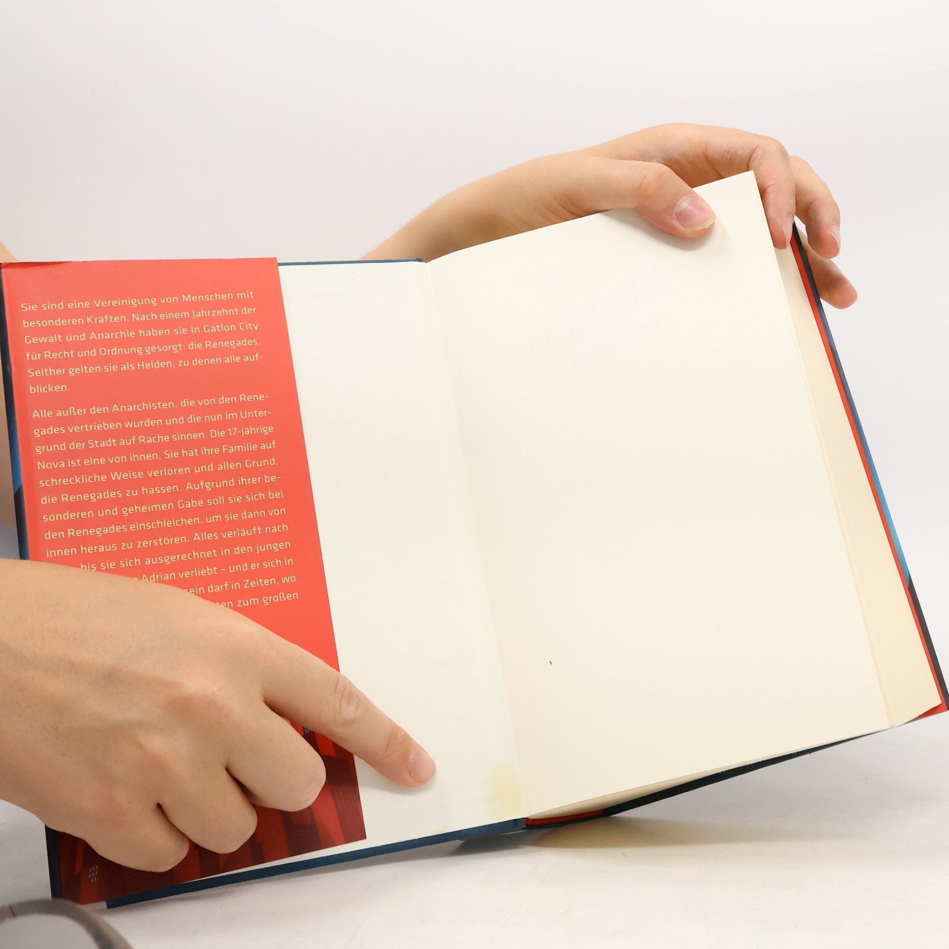 Marissa Meyer Renegades - gefährlicher Freund