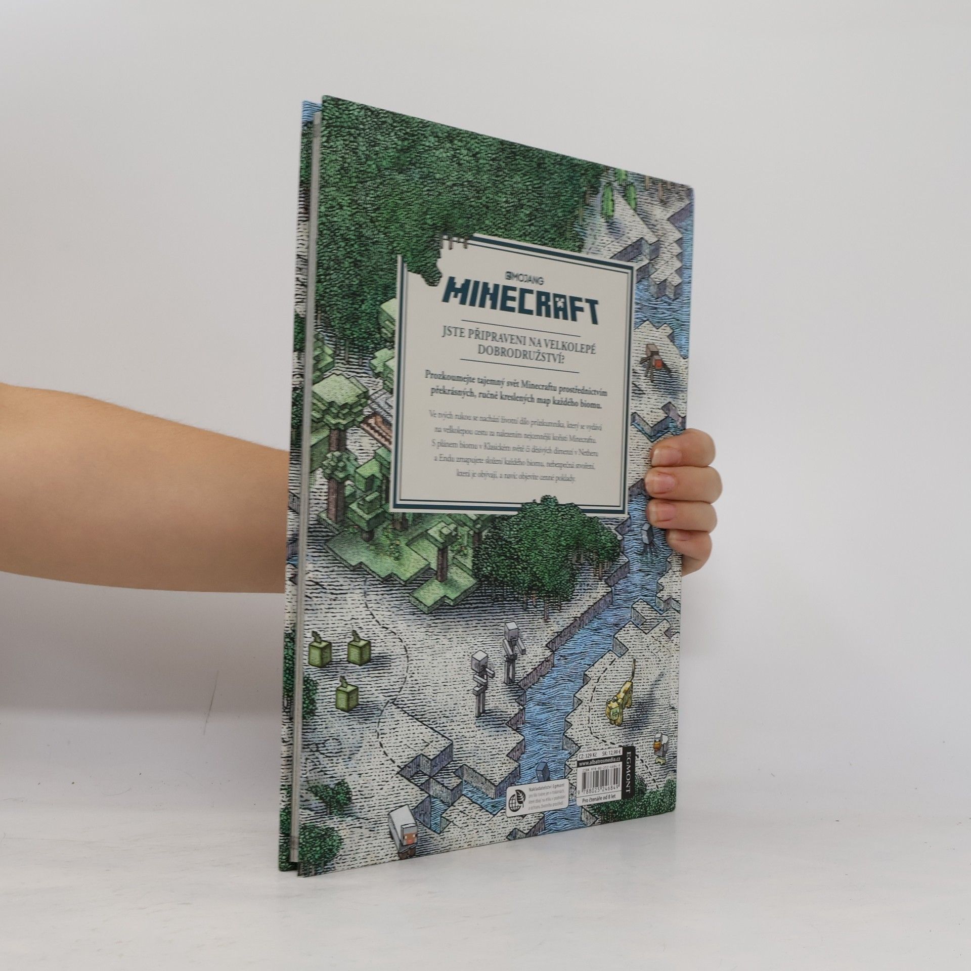Stephanie Milton Minecraft atlas