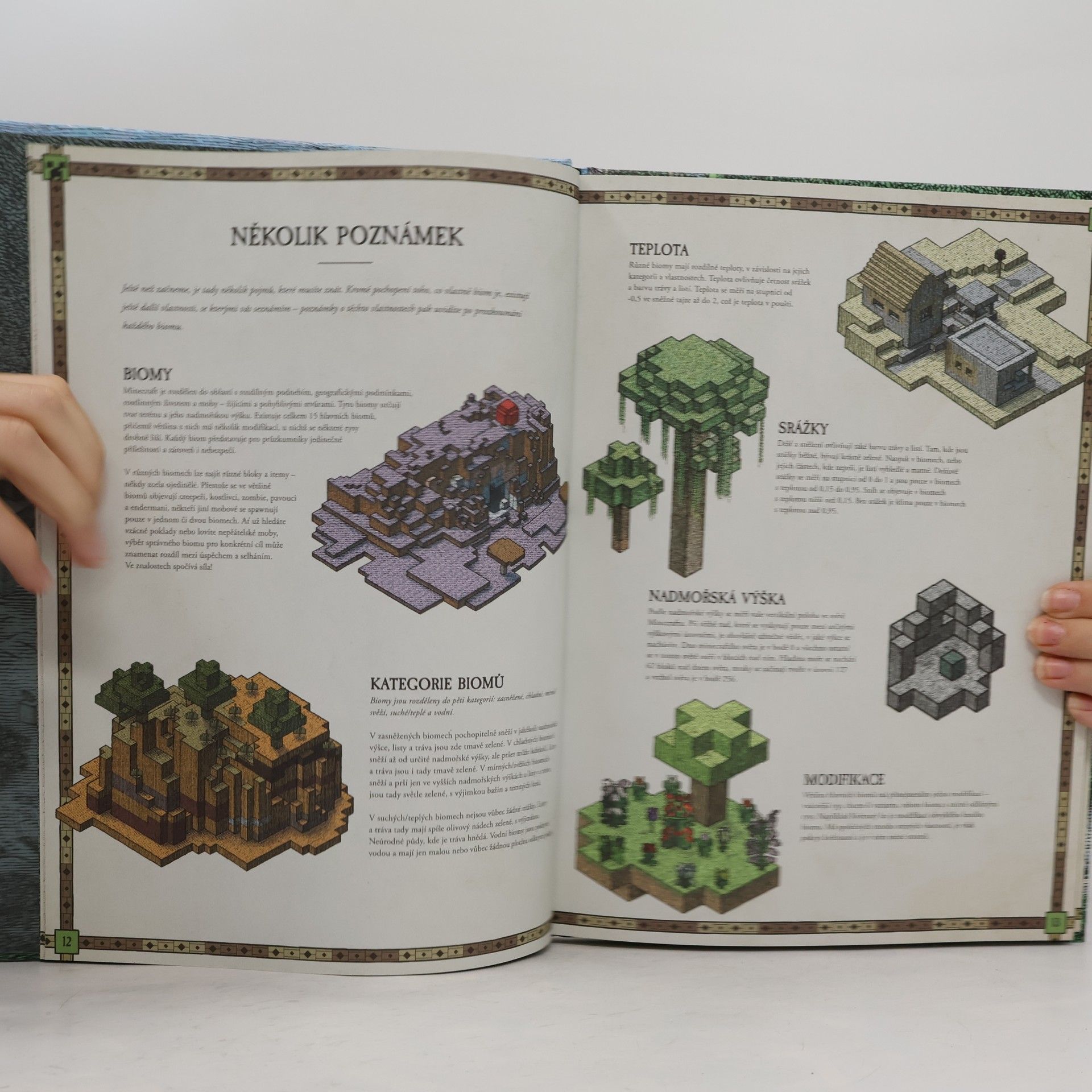 Stephanie Milton Minecraft atlas