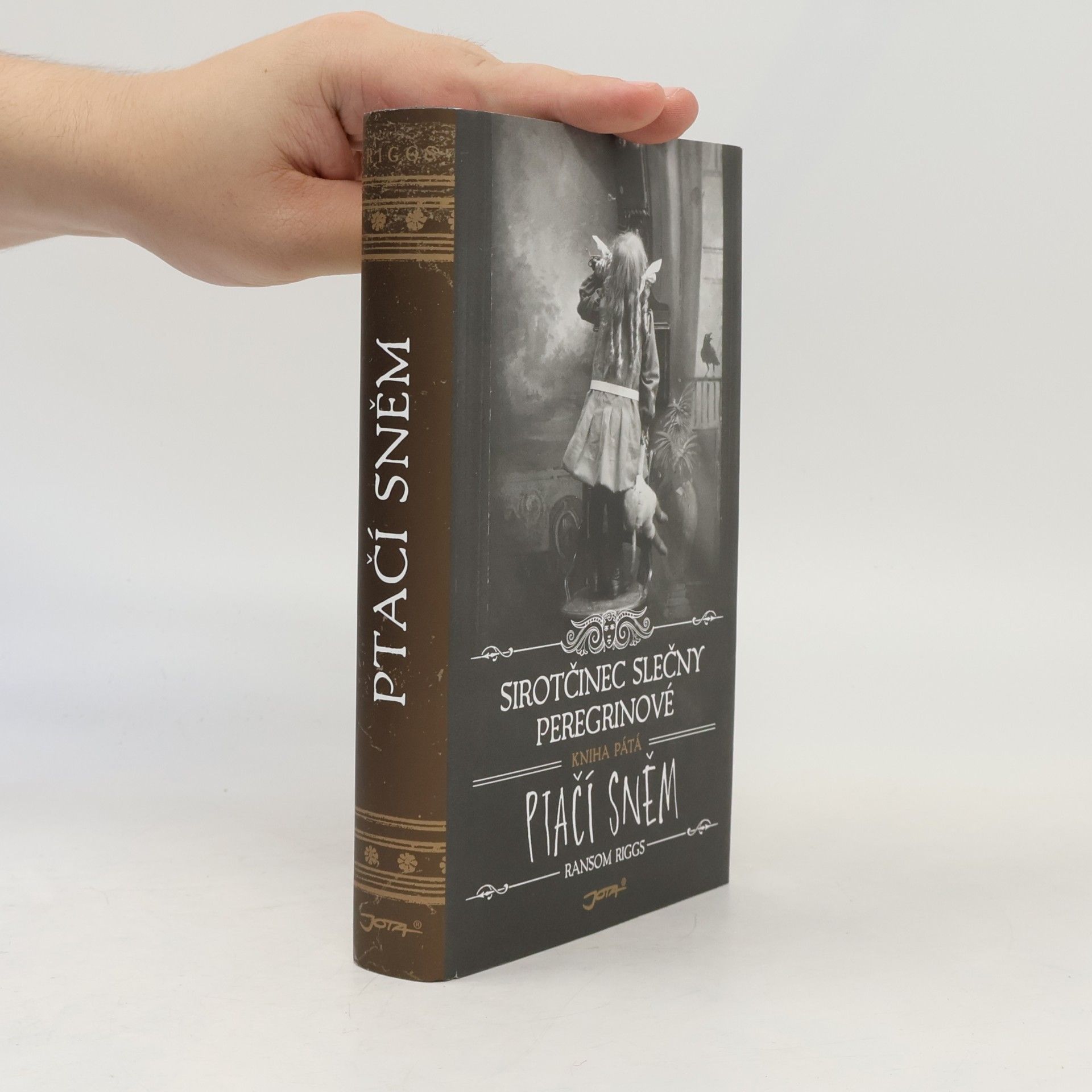 Ransom Riggs Ptačí sněm