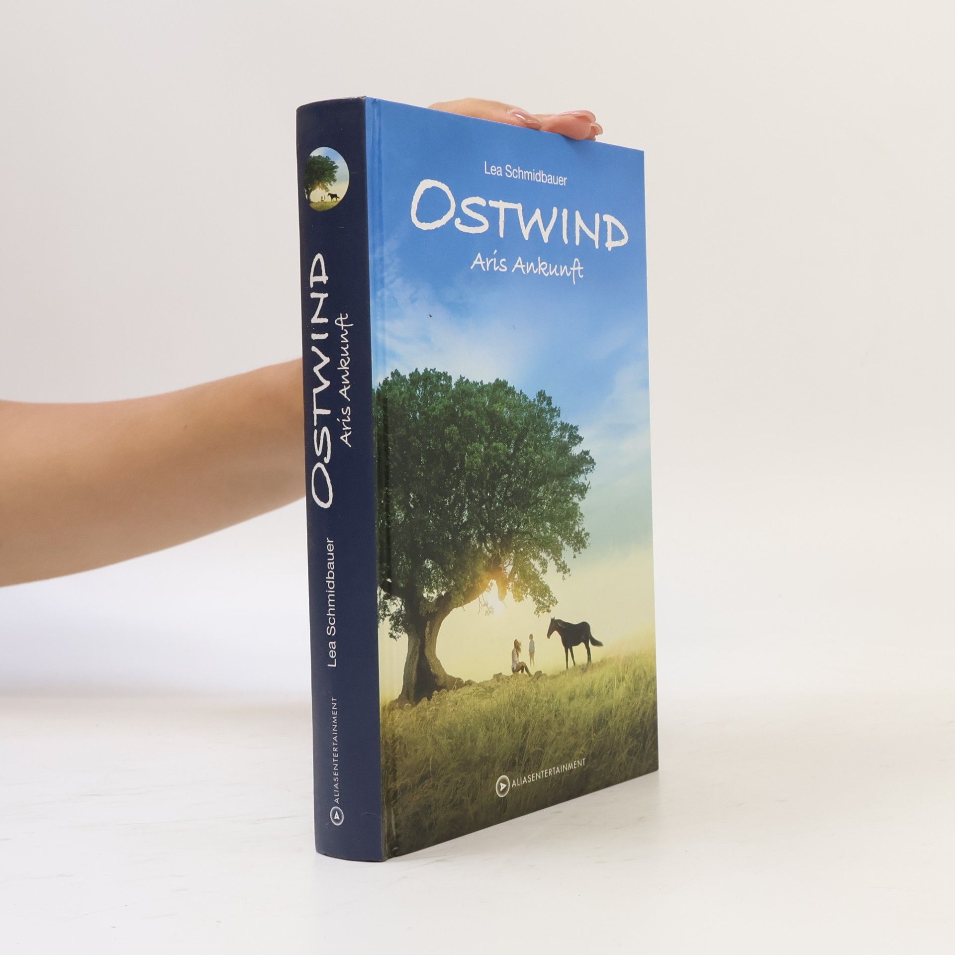 Ostwind - Arís Ankunft