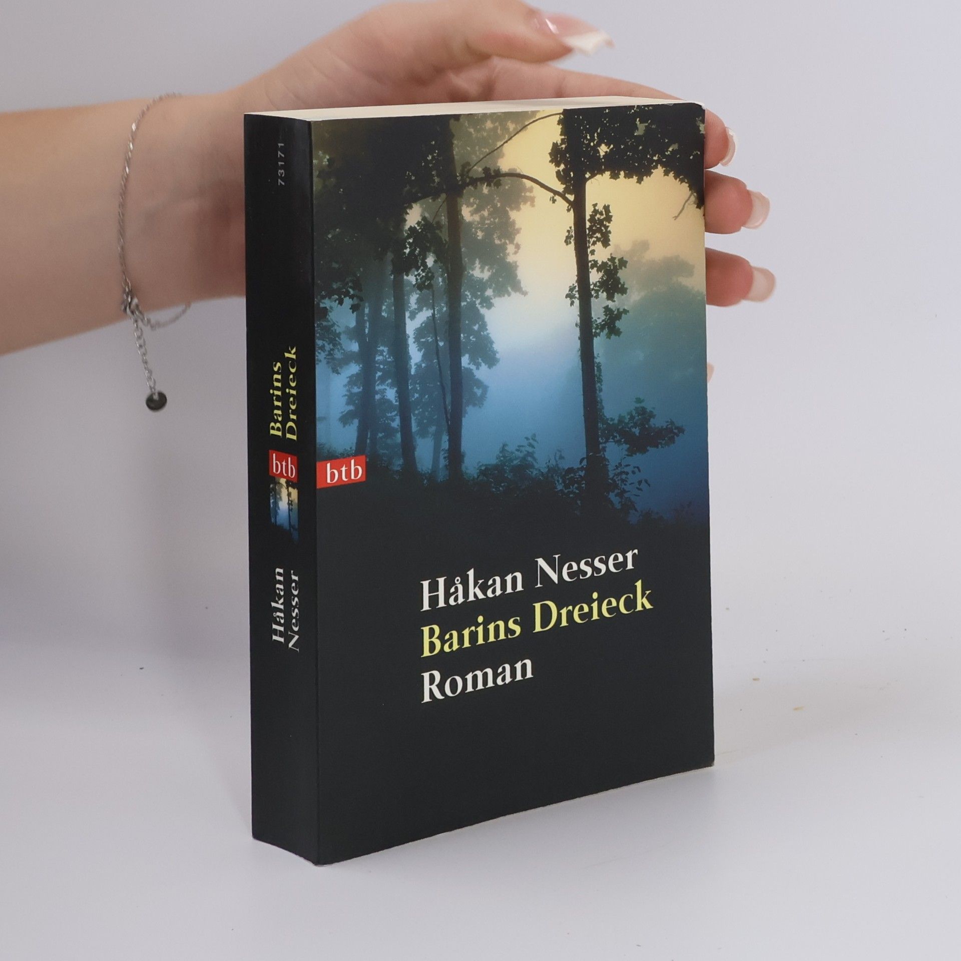 Håkan Nesser Barins Dreieck