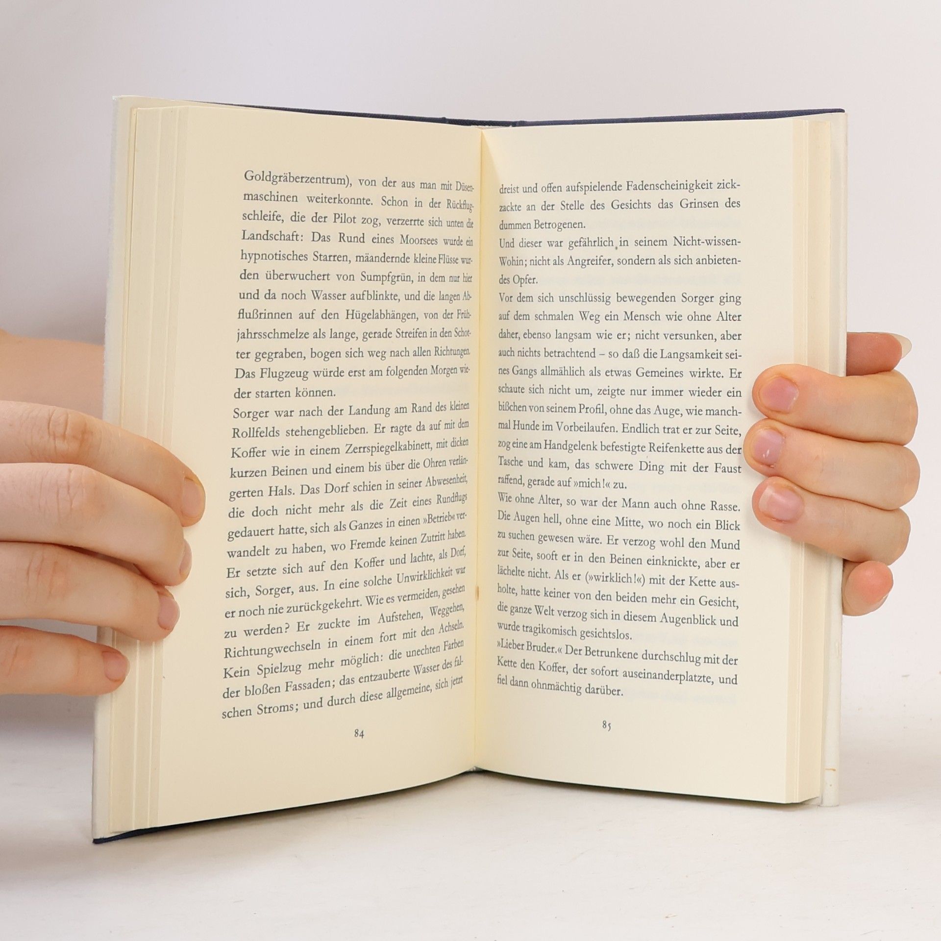 Peter Handke Langsame Heimkehr