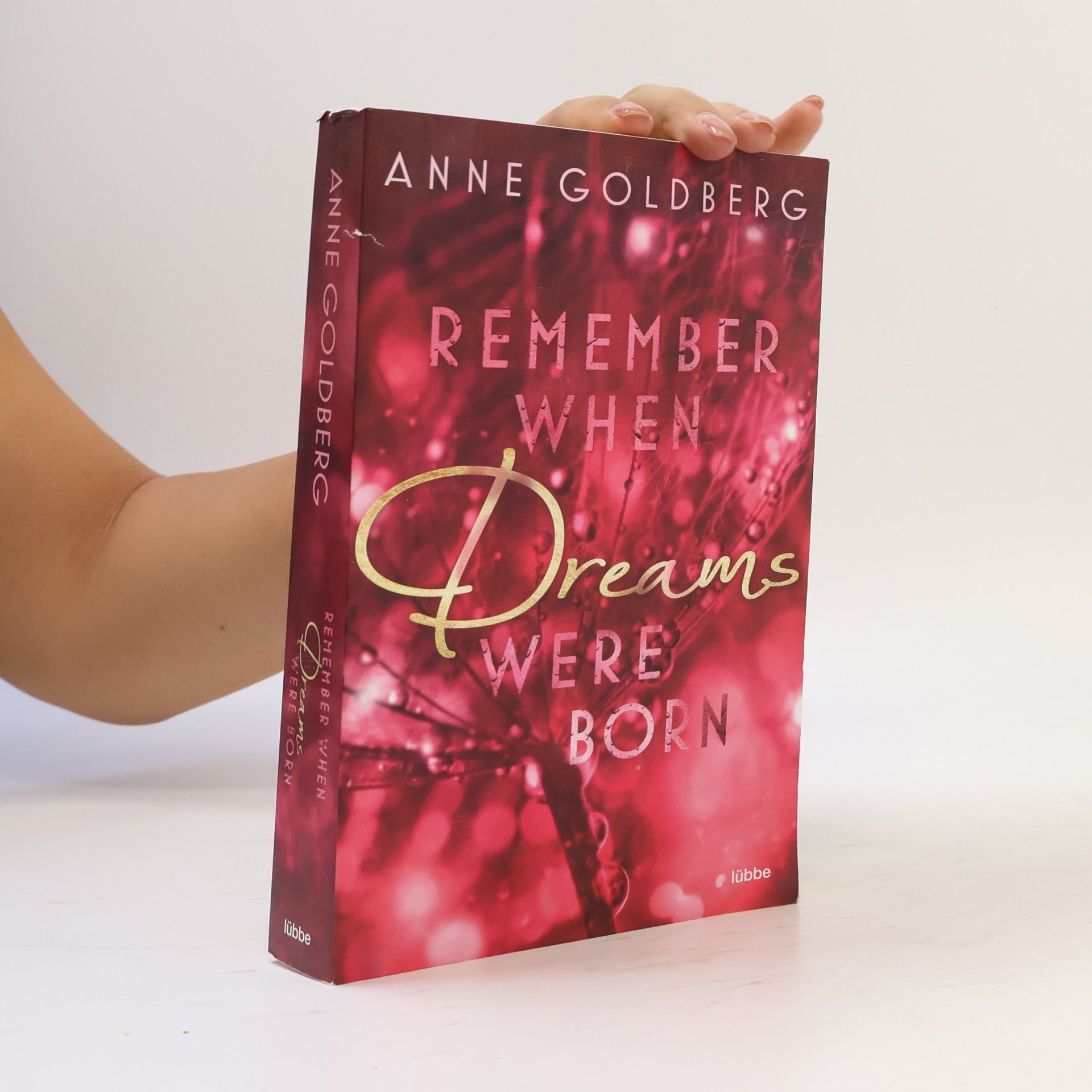 Anne Goldberg Remember when Dreams were born