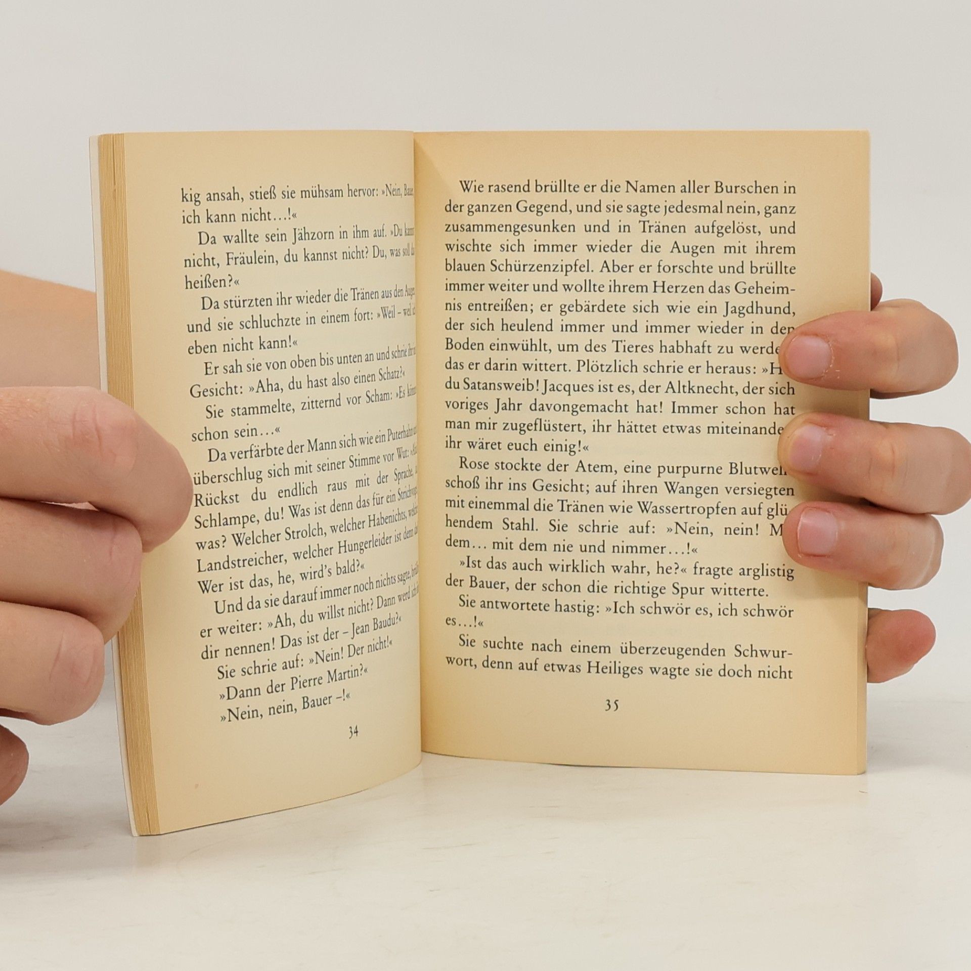 Guy de Maupassant Geschichte einer Magd