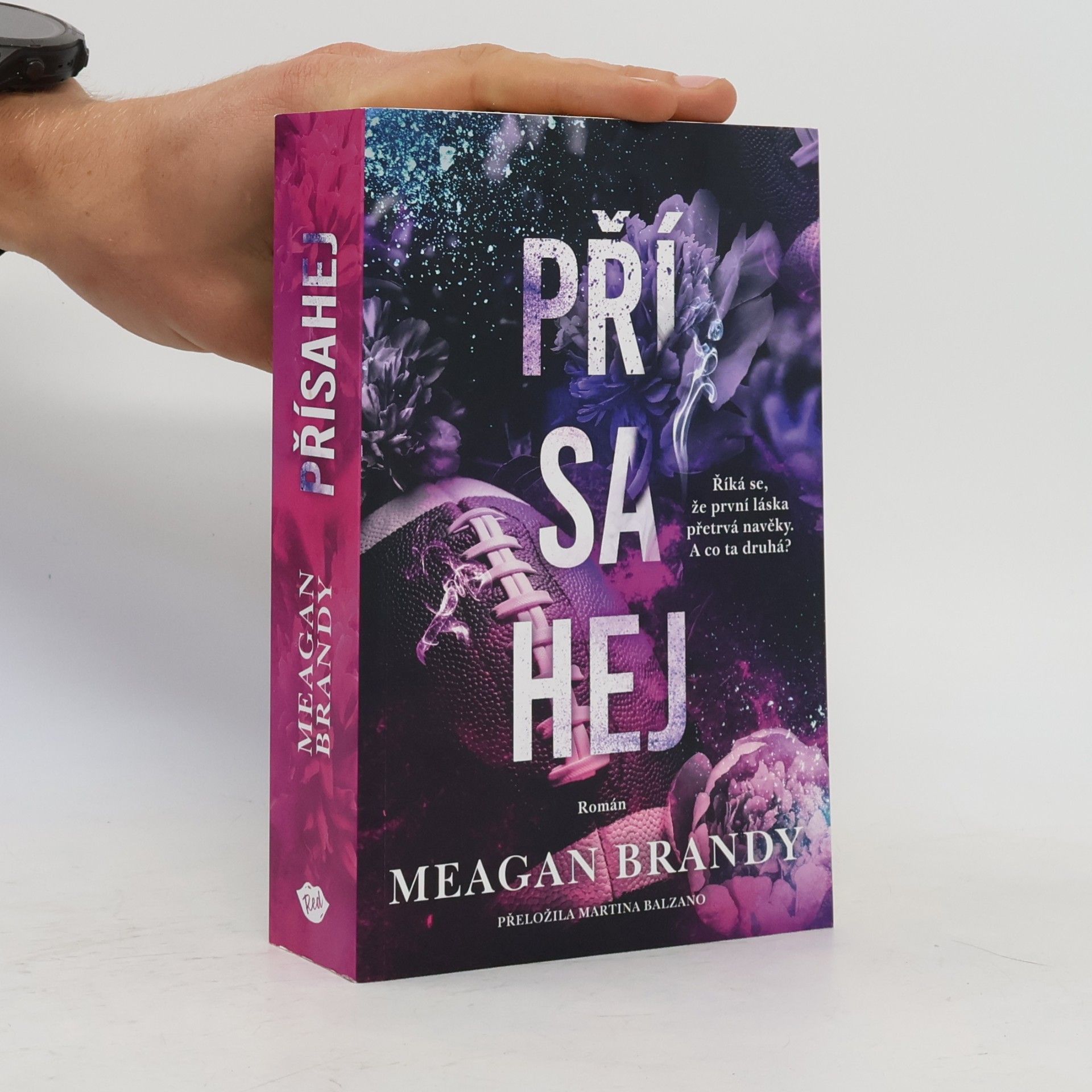 Meagan Brandy Přísahej