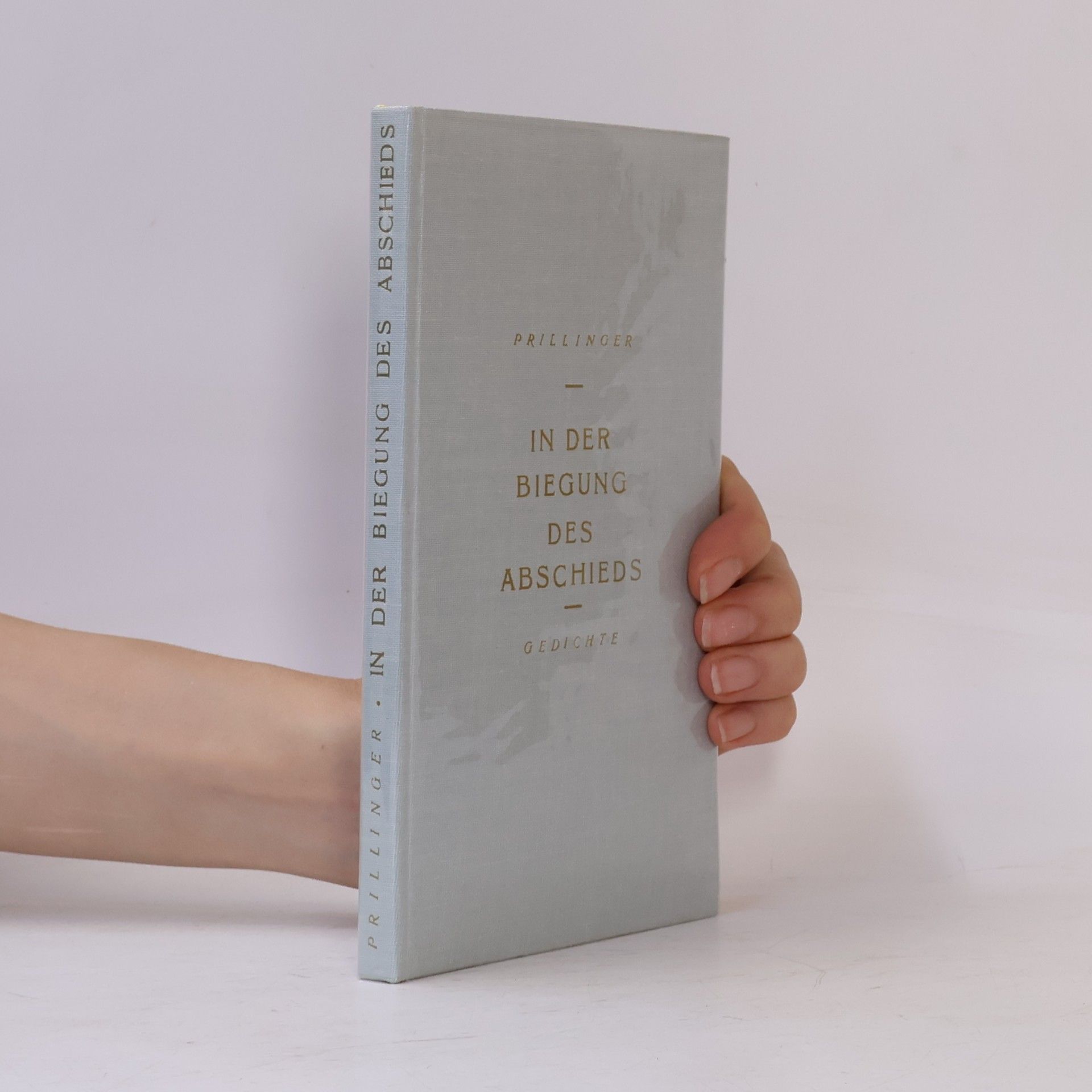 Elfriede Prillinger In der Biegung des Abschieds