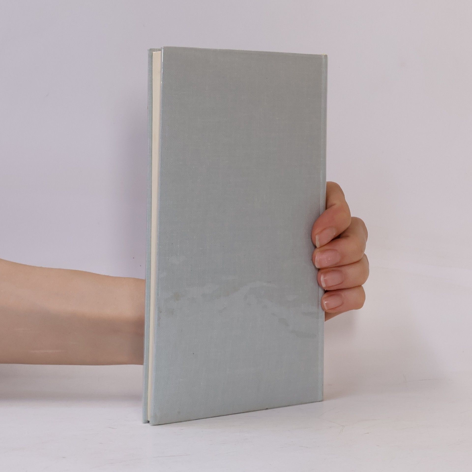 Elfriede Prillinger In der Biegung des Abschieds