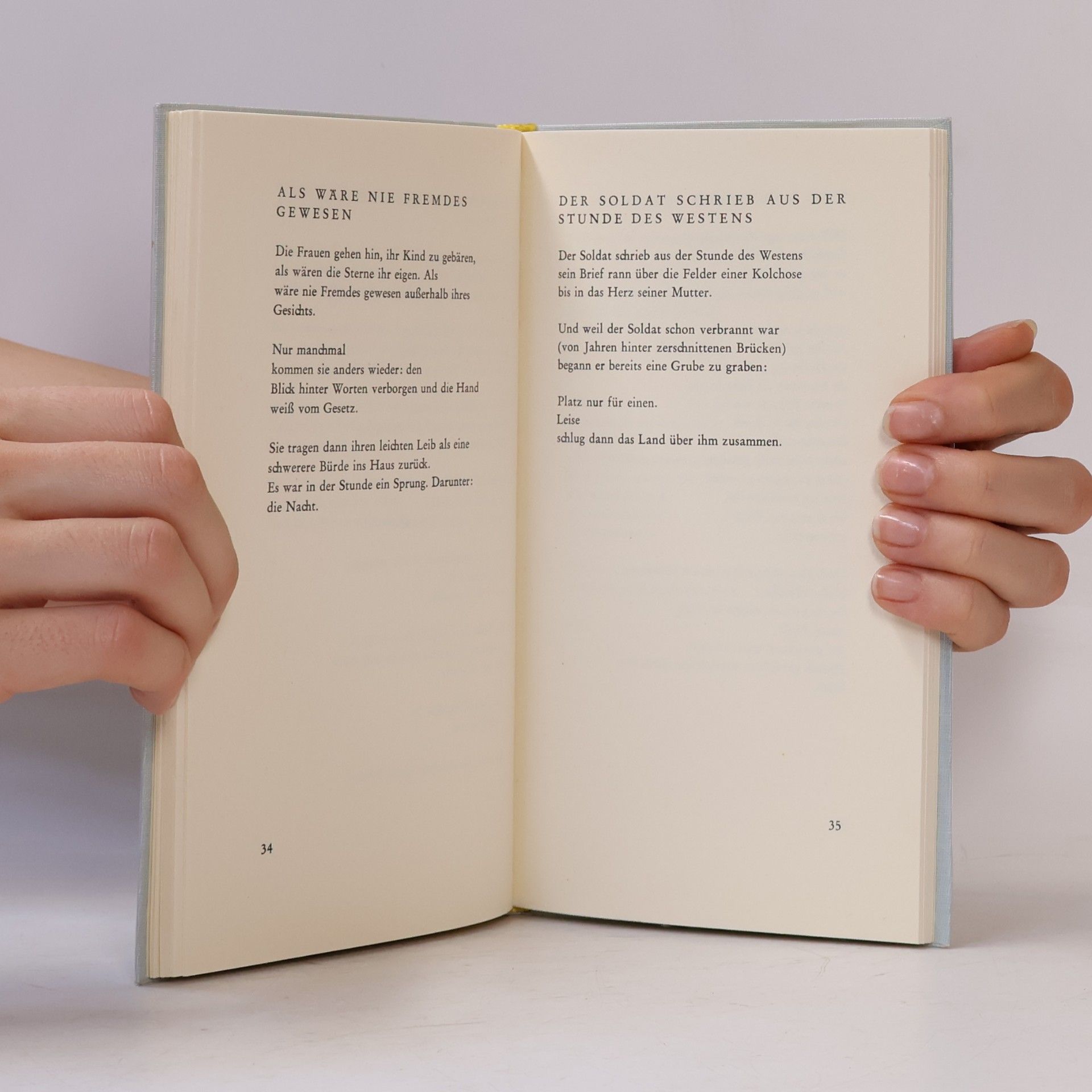 Elfriede Prillinger In der Biegung des Abschieds