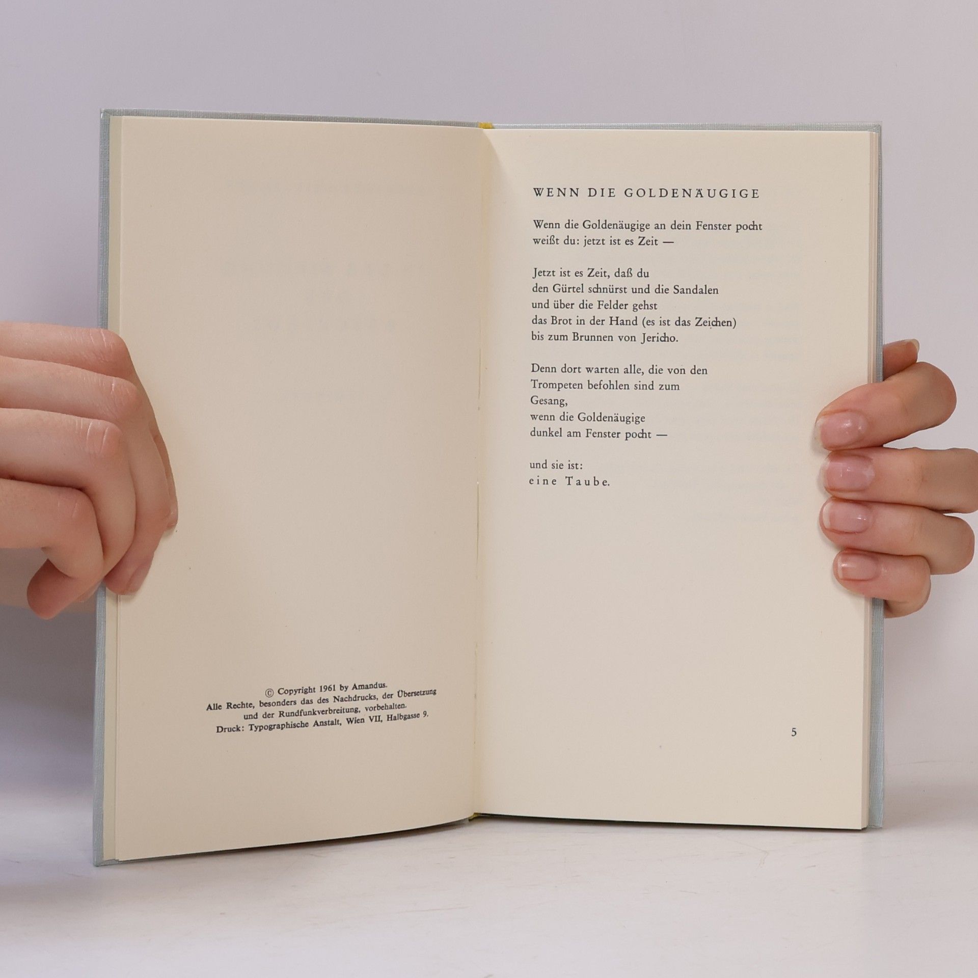 Elfriede Prillinger In der Biegung des Abschieds