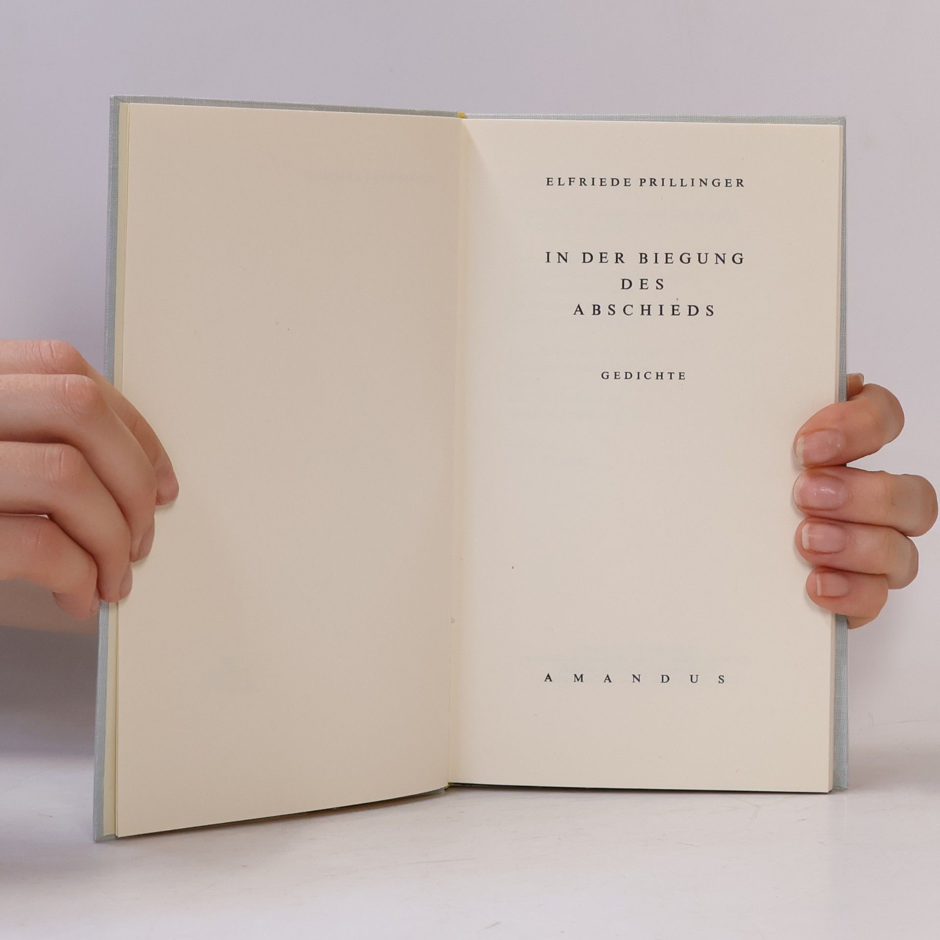 Elfriede Prillinger In der Biegung des Abschieds