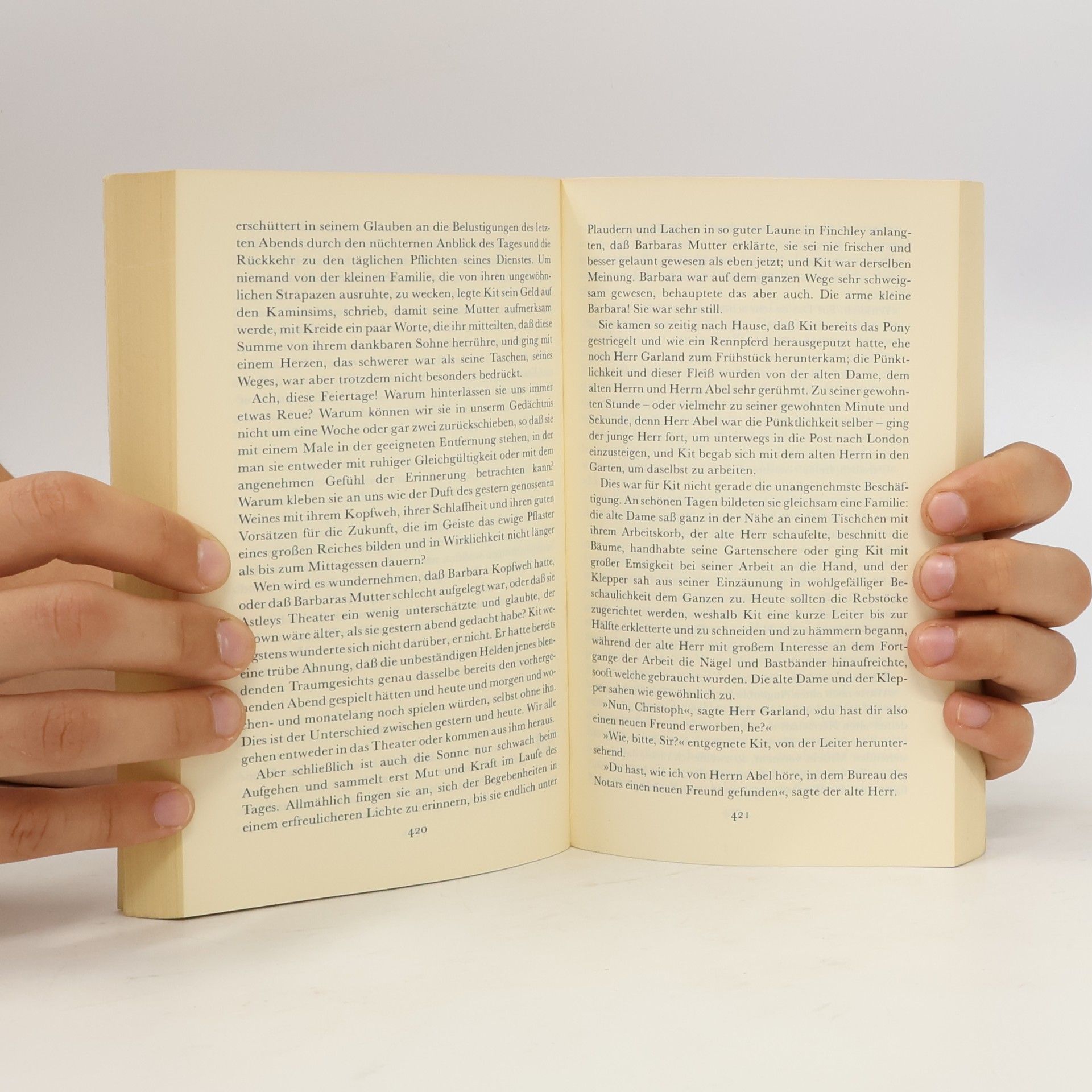 Charles Dickens Insel Taschenbuch - 716: Der Raritätenladen