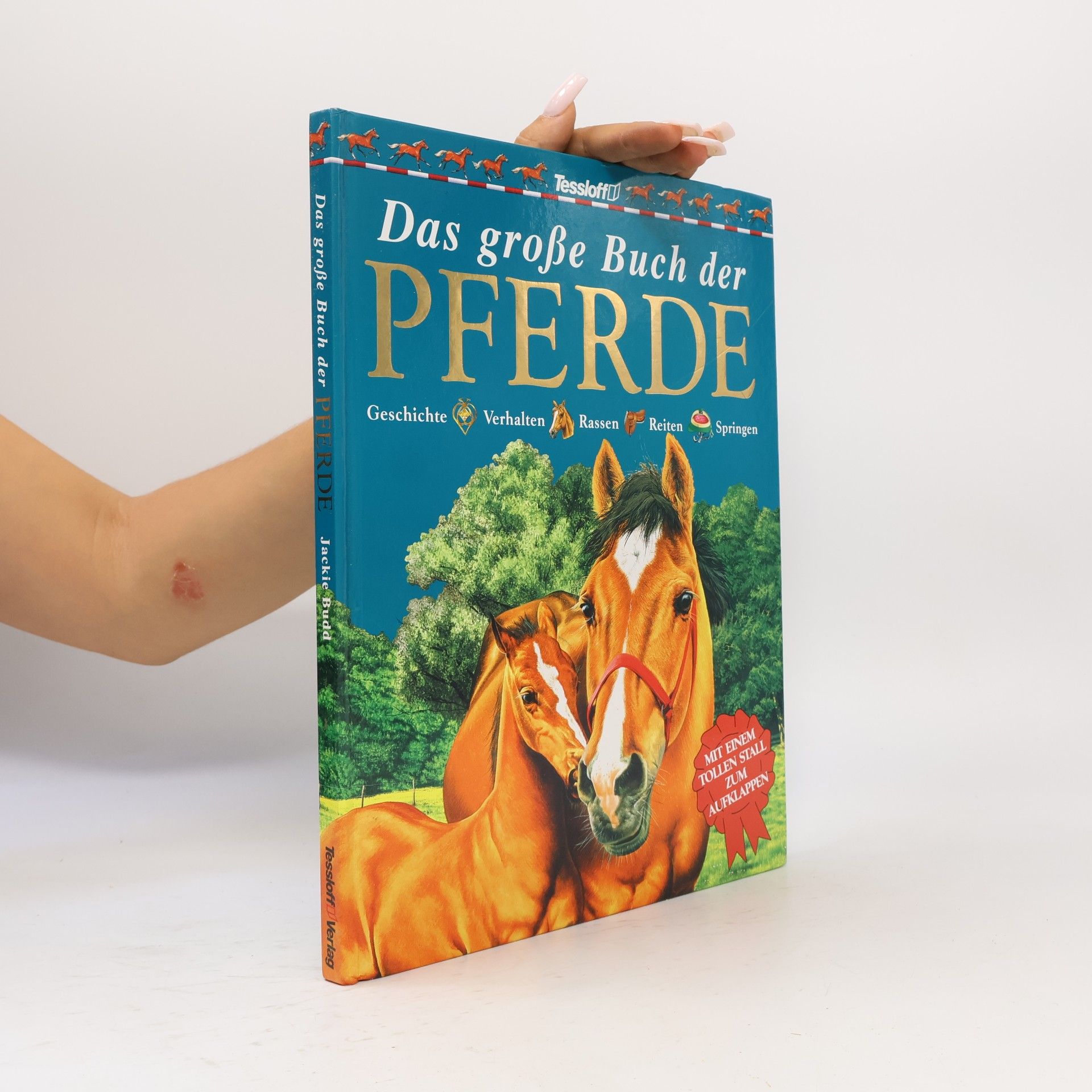 Jackie Budd Das große Buch der pferde