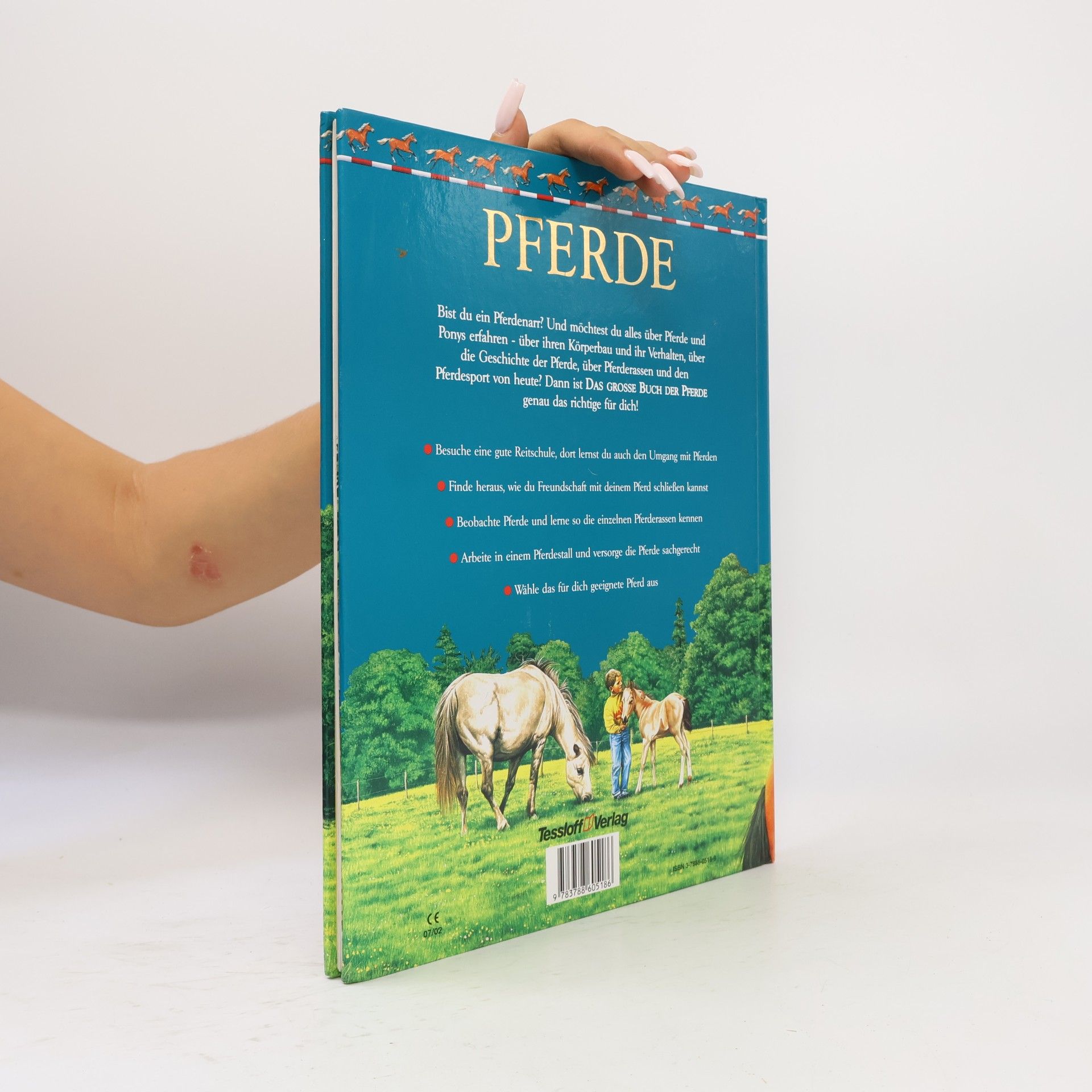 Jackie Budd Das große Buch der pferde