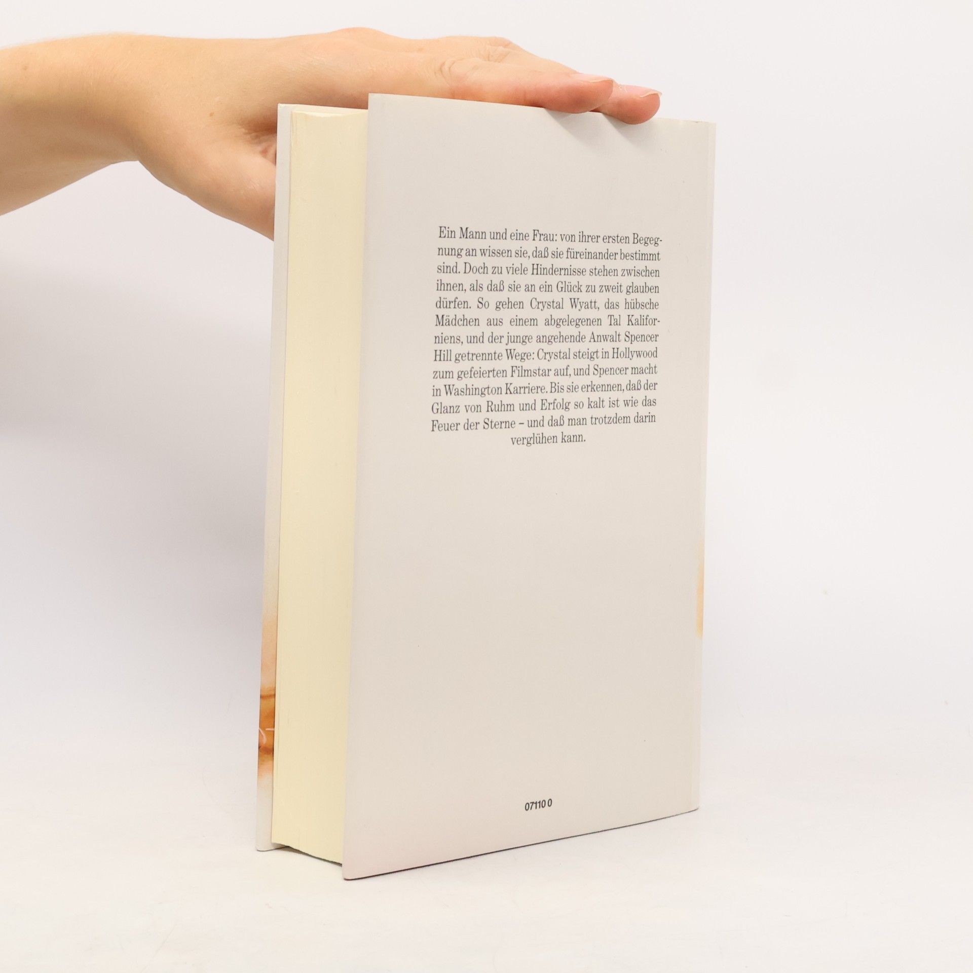 Danielle Steel Sternenfeuer