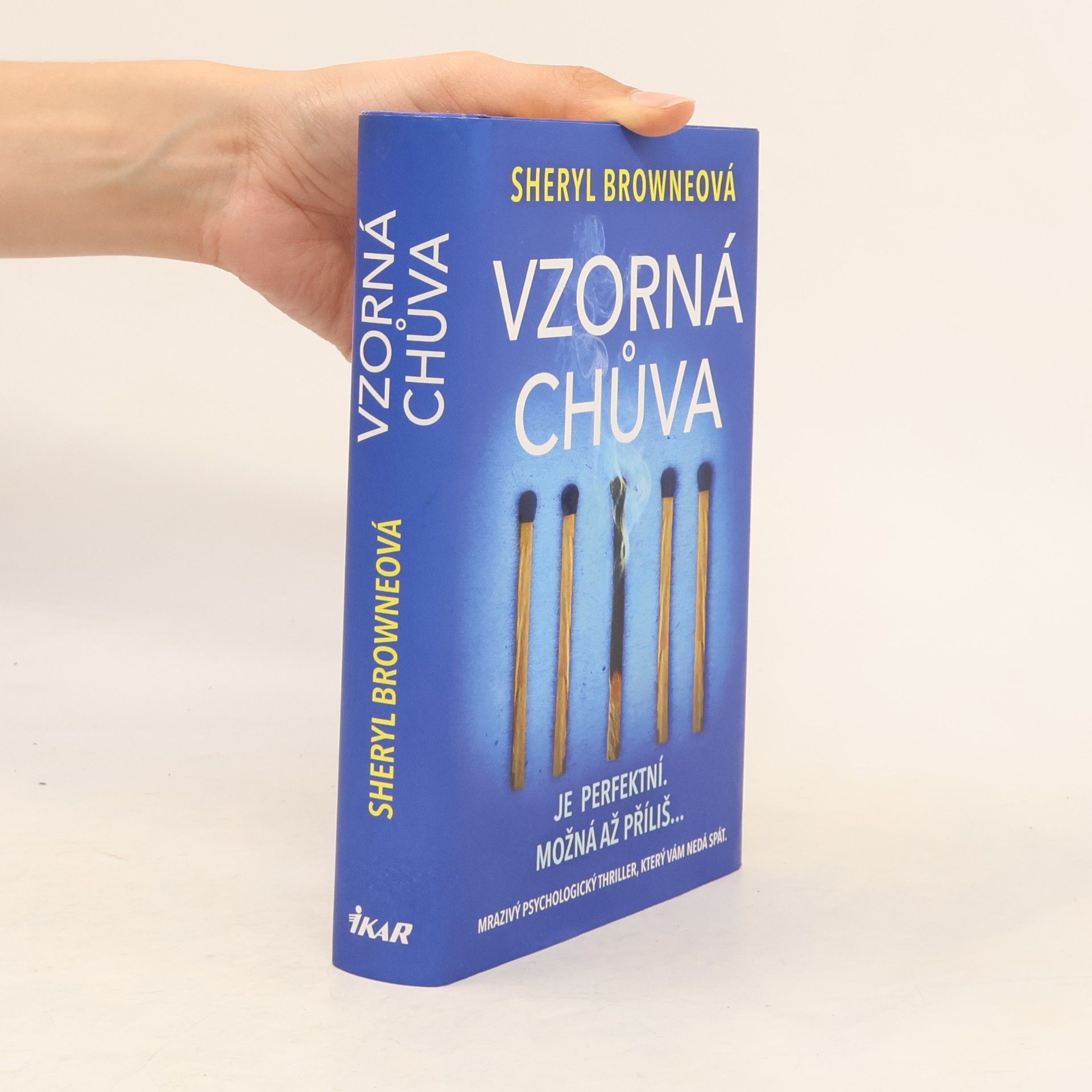 Sheryl Browne Vzorná chůva