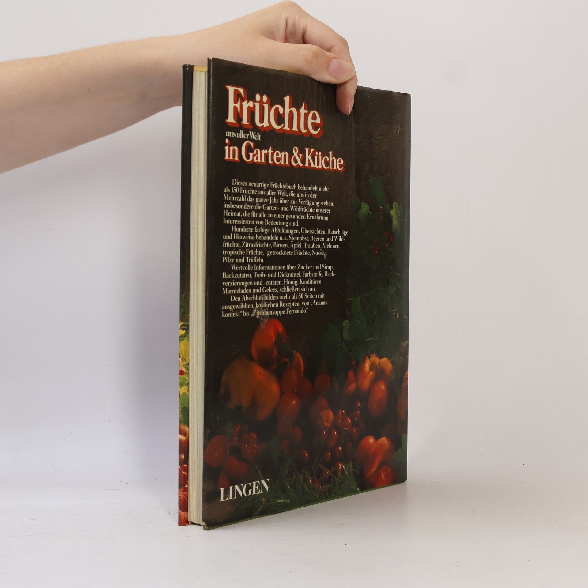 Kolektiv autorů Früchte aus aller Welt in Garten & Küche