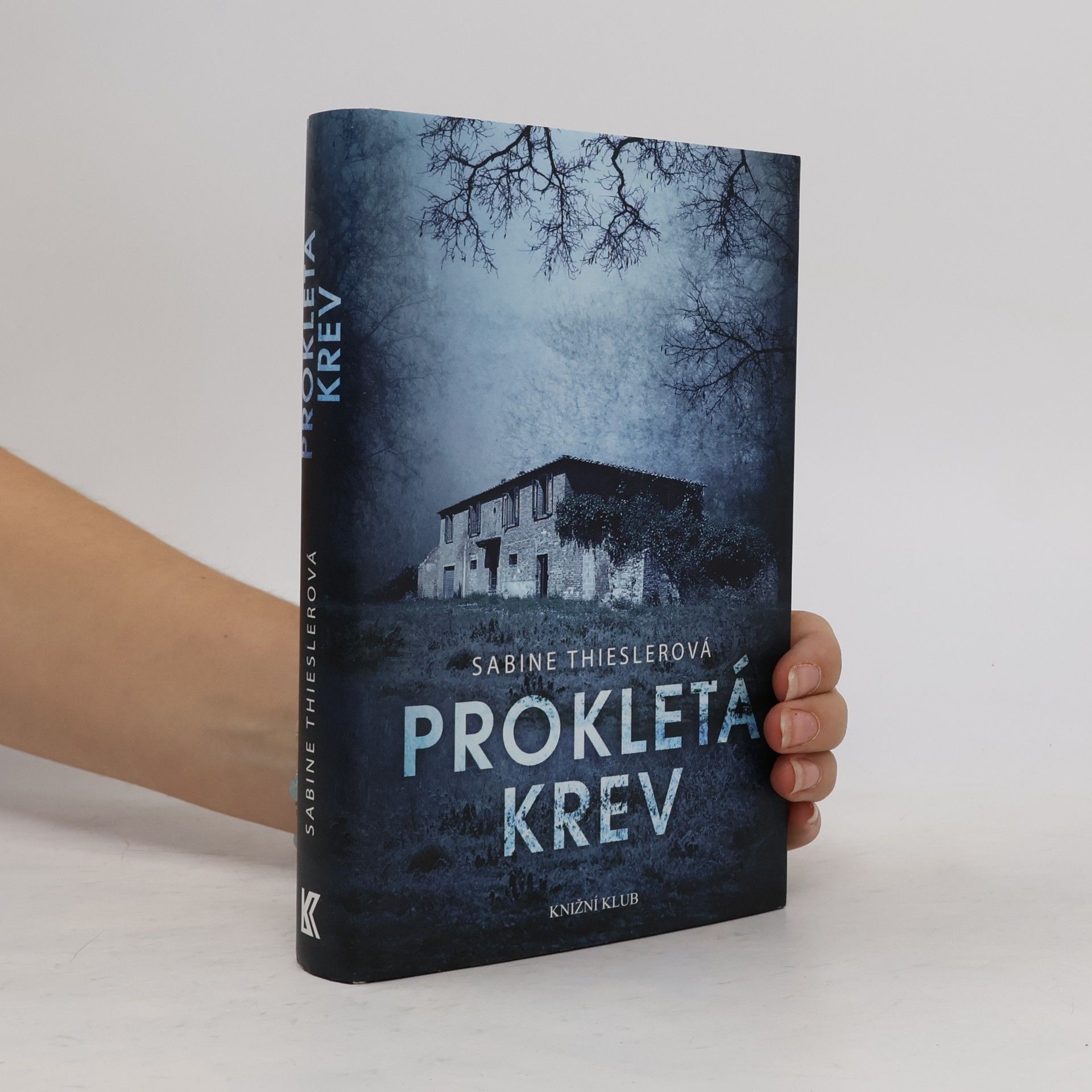 Sabine Thiesler Prokletá krev