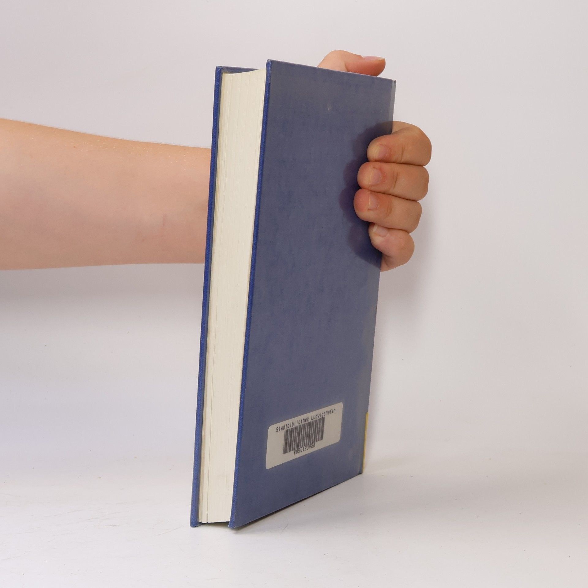 Jack Salzman The Cambridge Handbook of American Literature