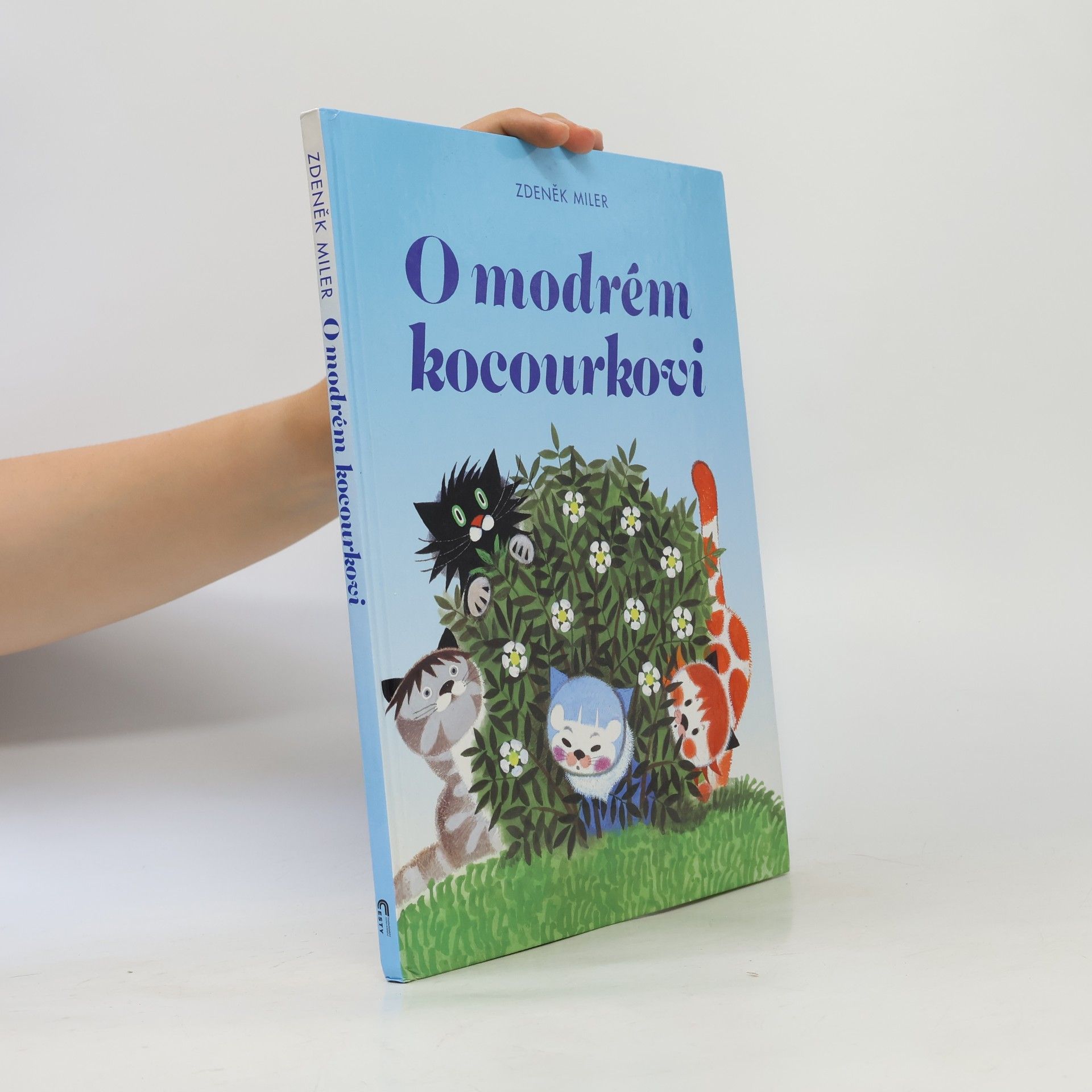 Marika Hellstrom Kennedy O modrém kocourkovi
