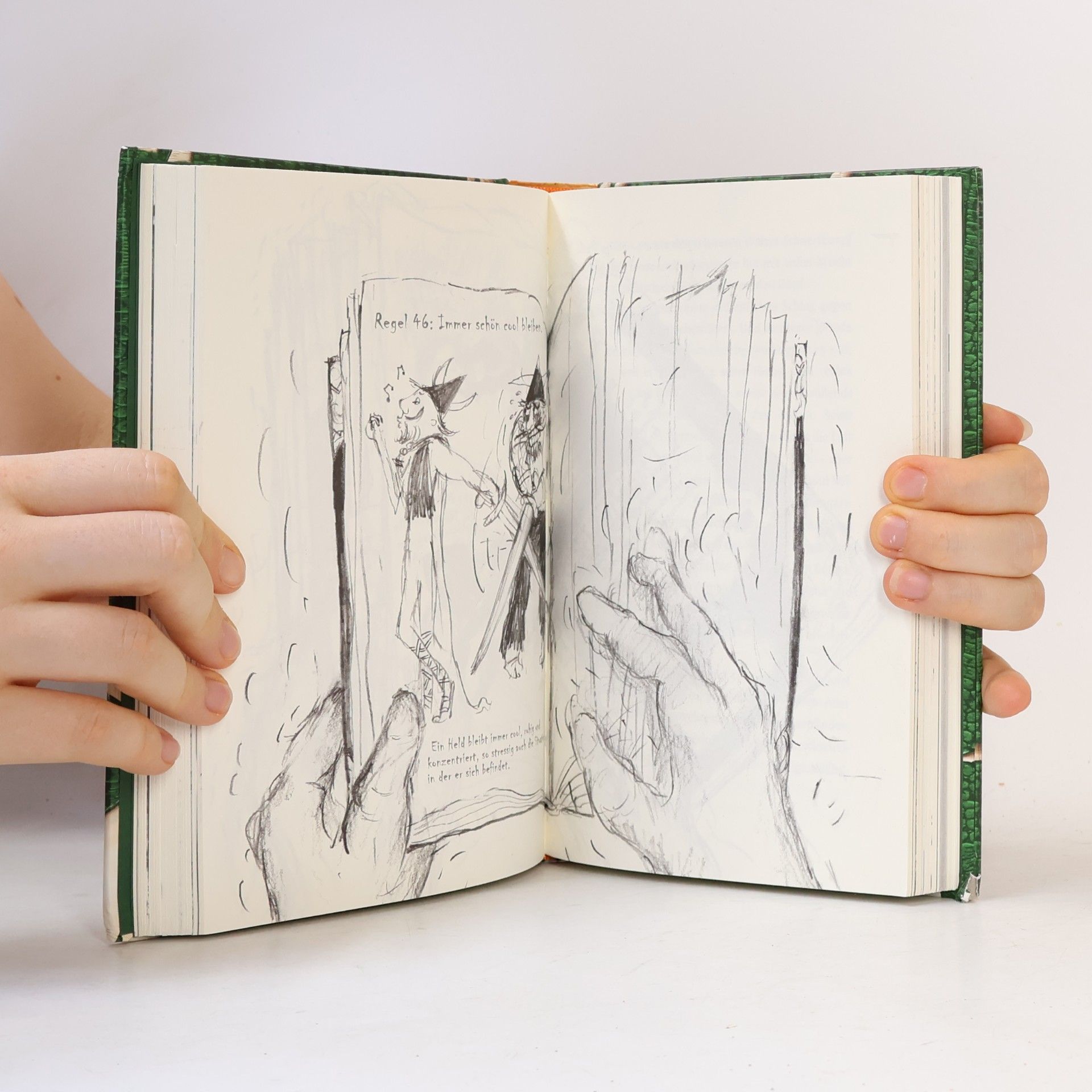 Cressida Cowell Drachenzähmen leicht gemacht- Handbuch für echte Helden