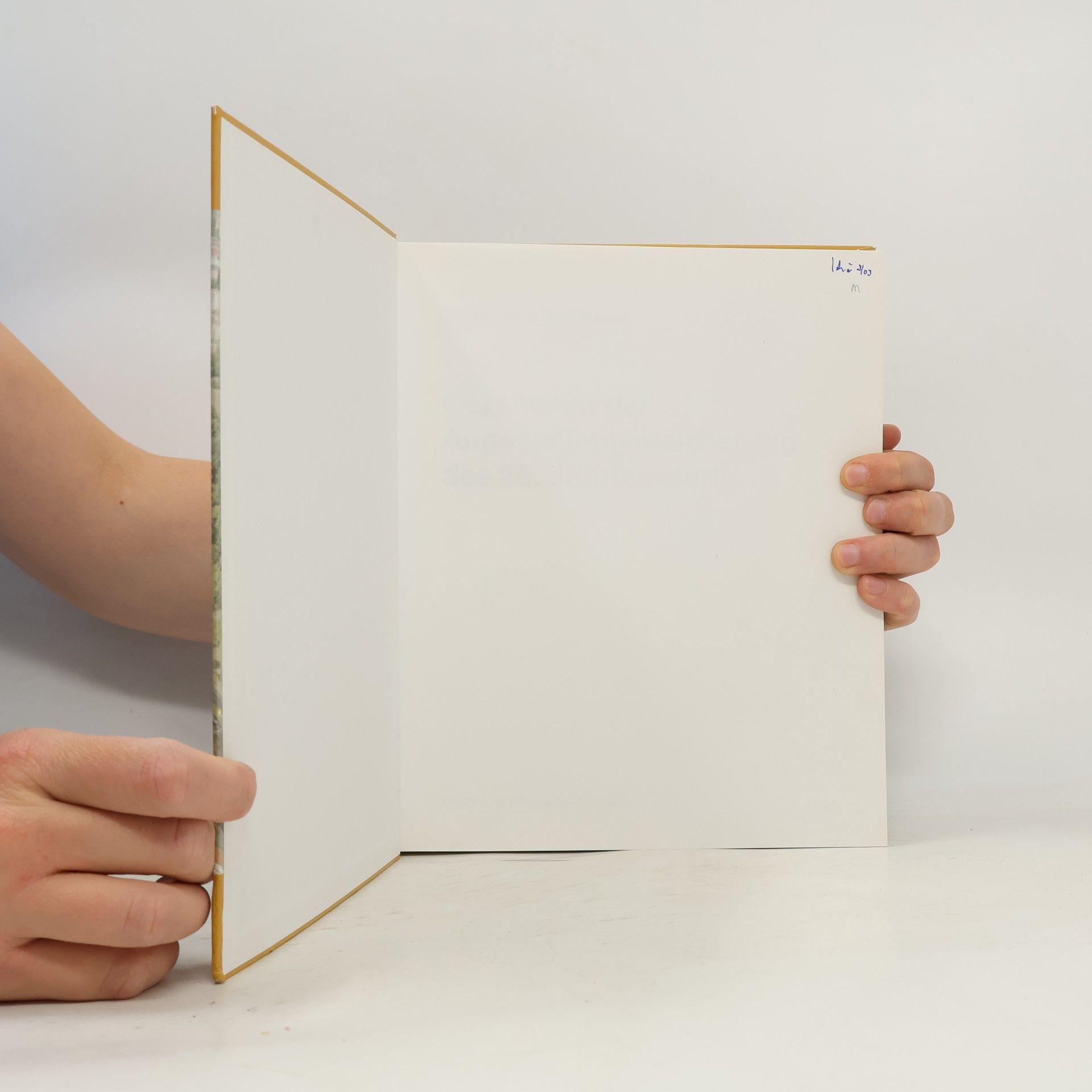 Various authors Geschichte der Angestelltenversicherung des 20. Jahrhunderts
